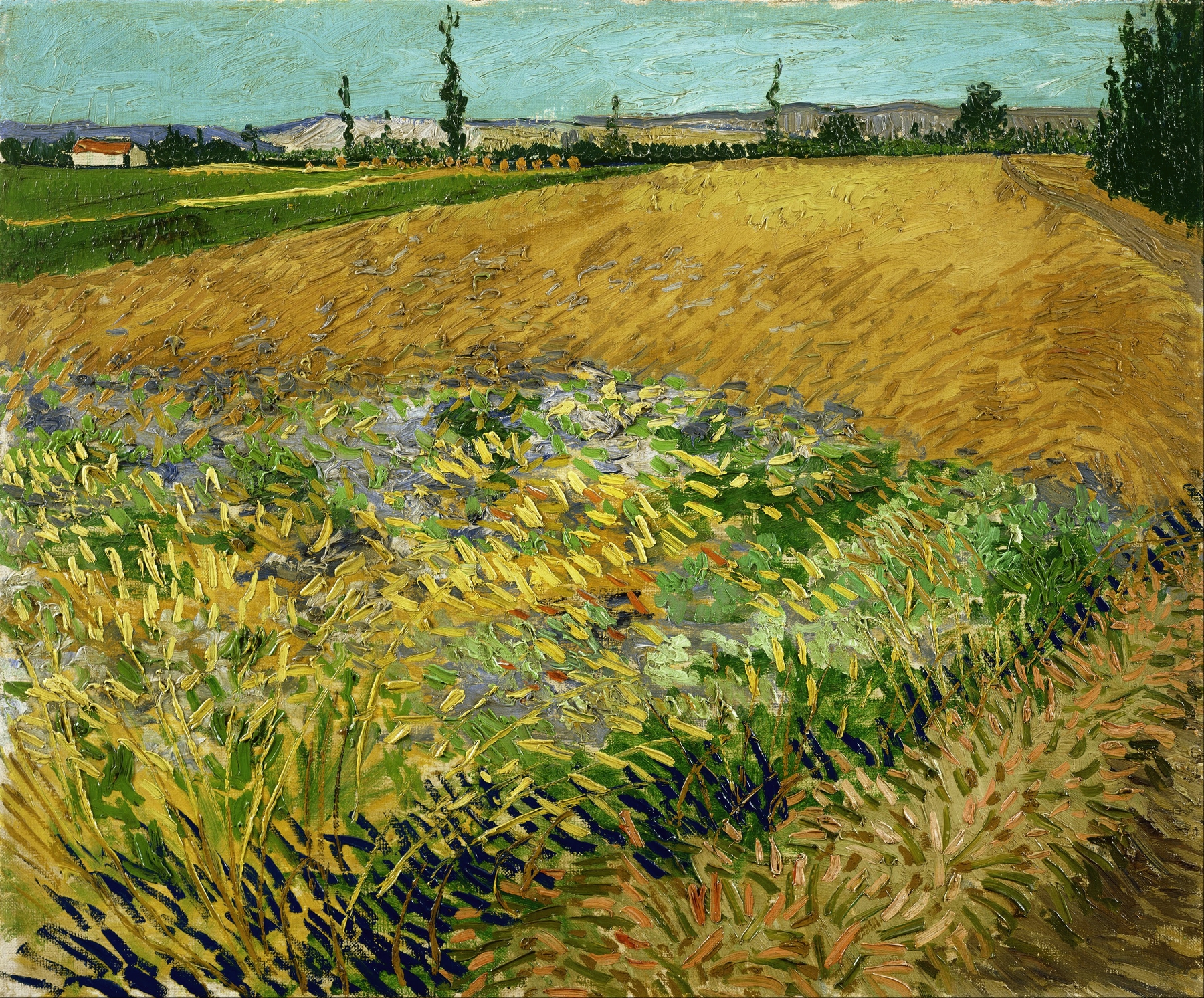 Wheatfield, by Vincent van Gogh, public domain
