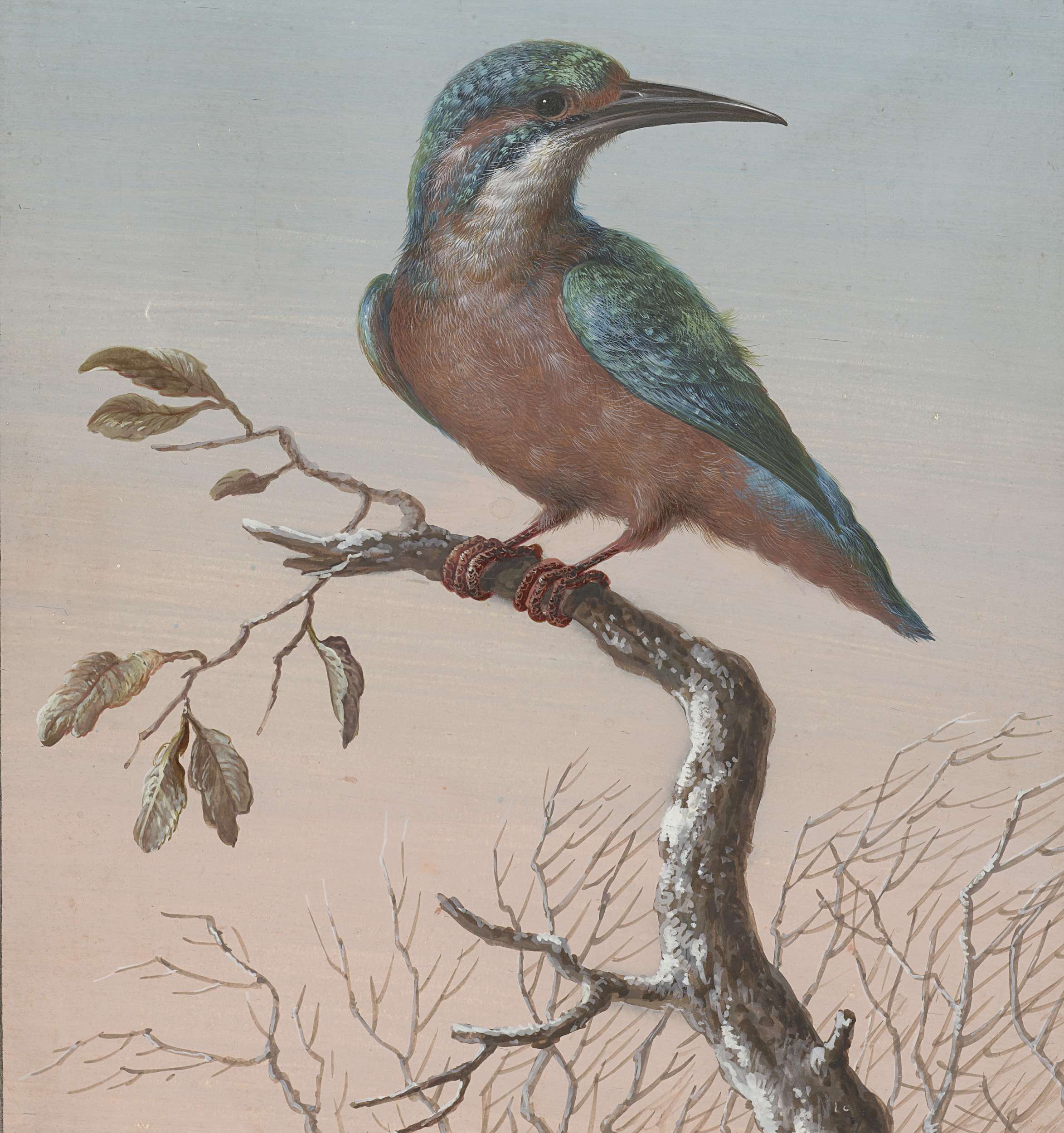 Common Kingfisher watercolor by Barbara Regina Dietzsch, featuring detailed feathers against a wintry background.