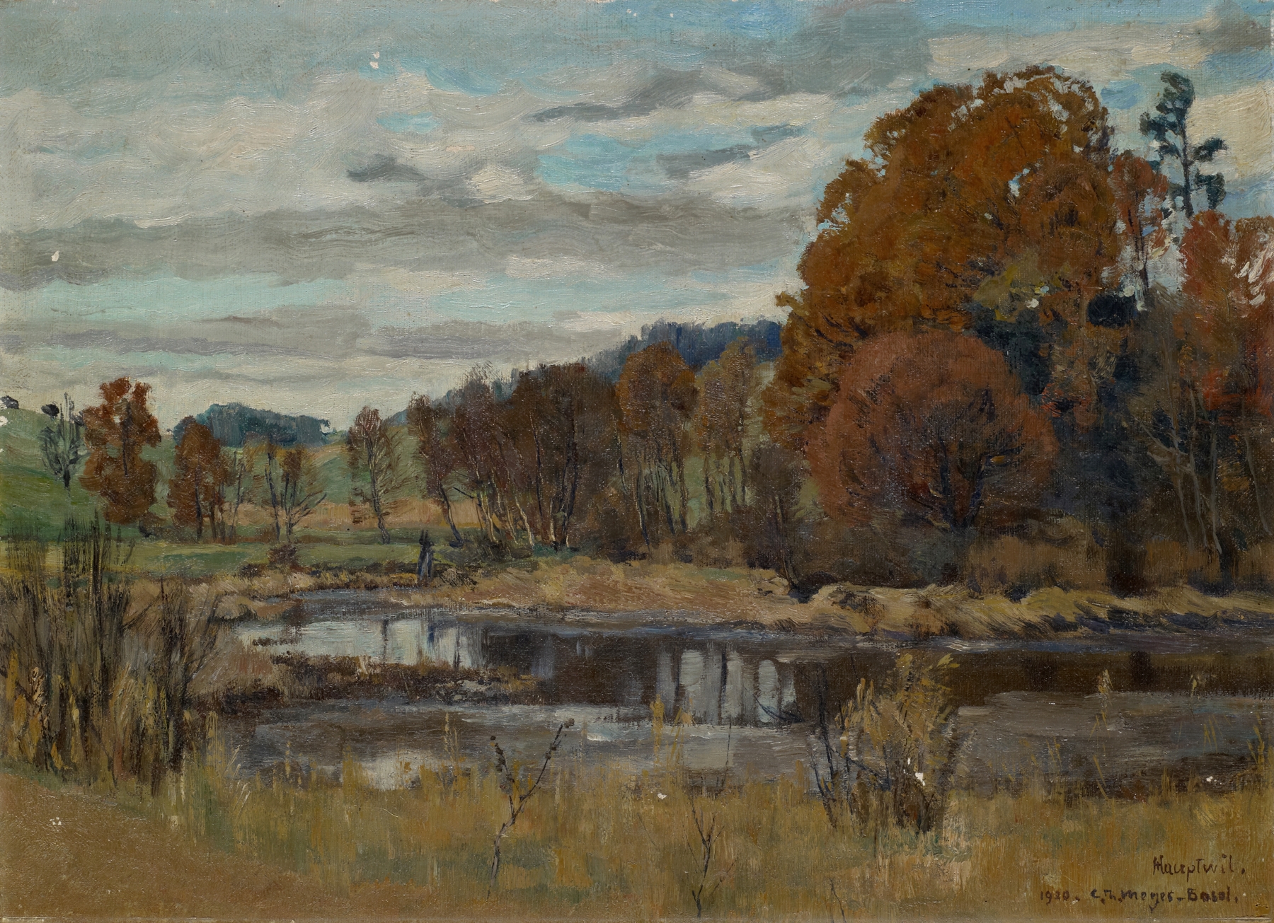 Landscape near Hauptwil by Carl Theodor Meyer-Basel, oil painting depicting rolling hills and a vibrant sky.