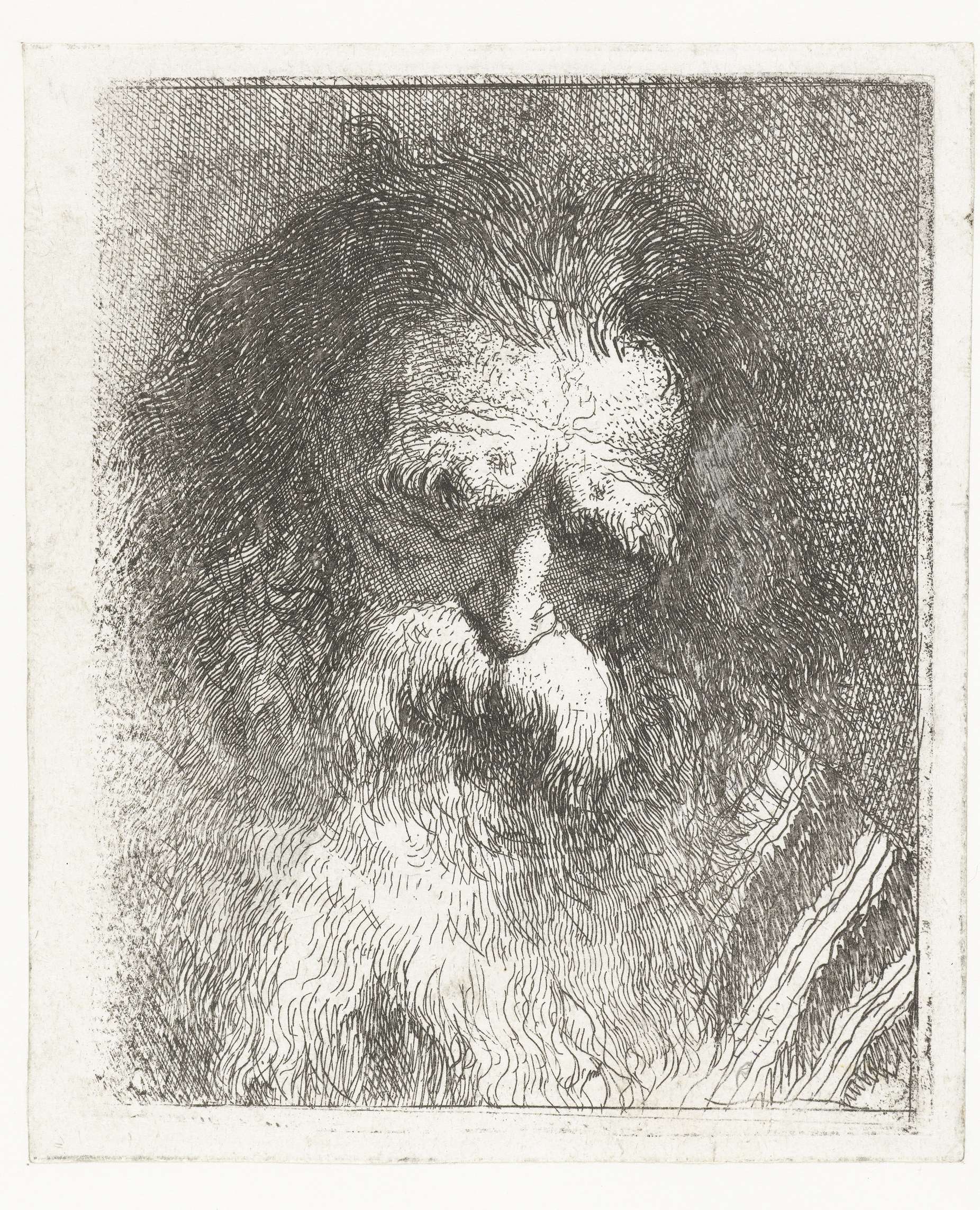 Oude man met borstelige wenkbrauwen en baard, by Giovanni Domenico Tiepolo, public domain