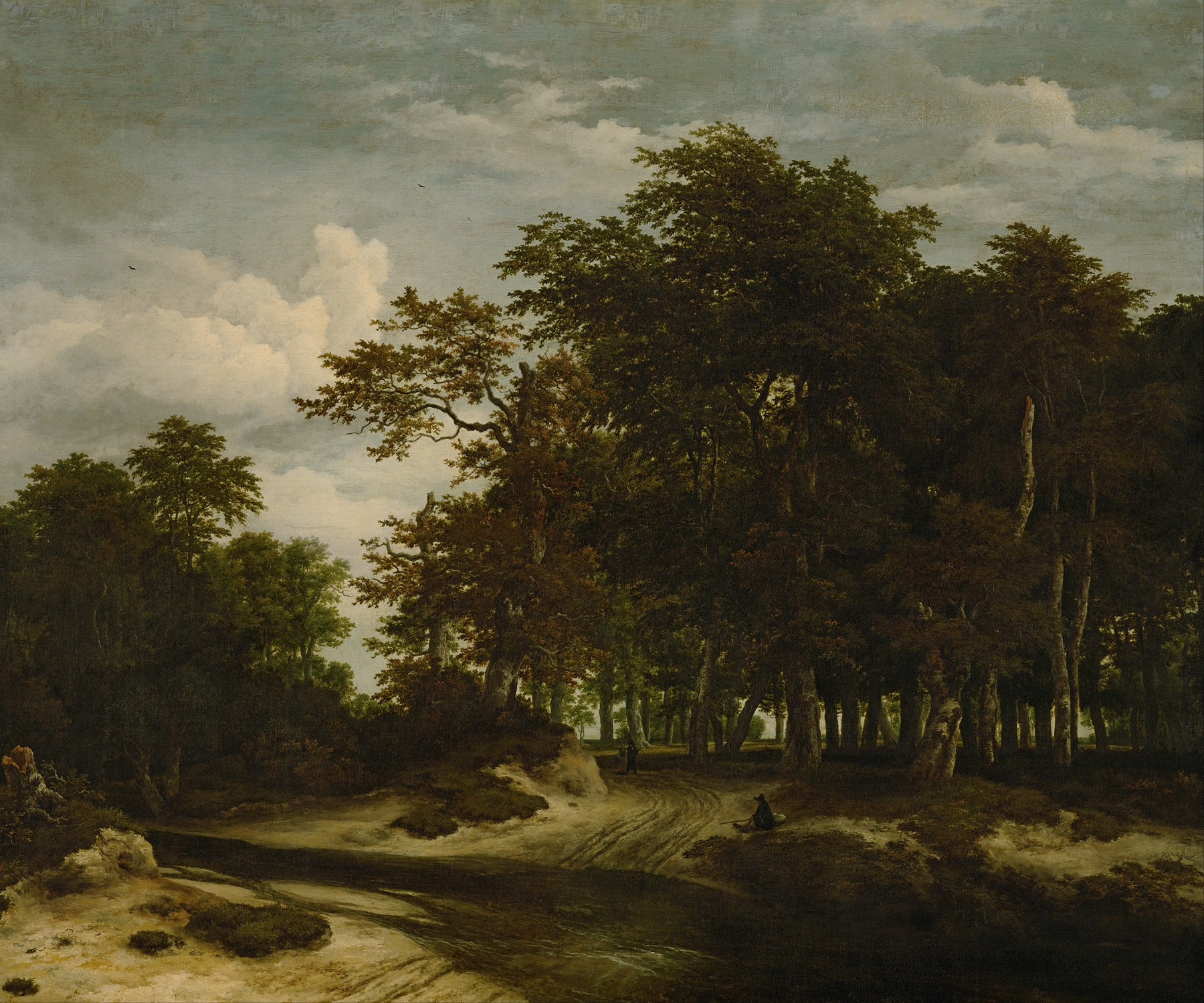 Forest landscape with trees and light, oil on canvas by Jacob van Ruisdael