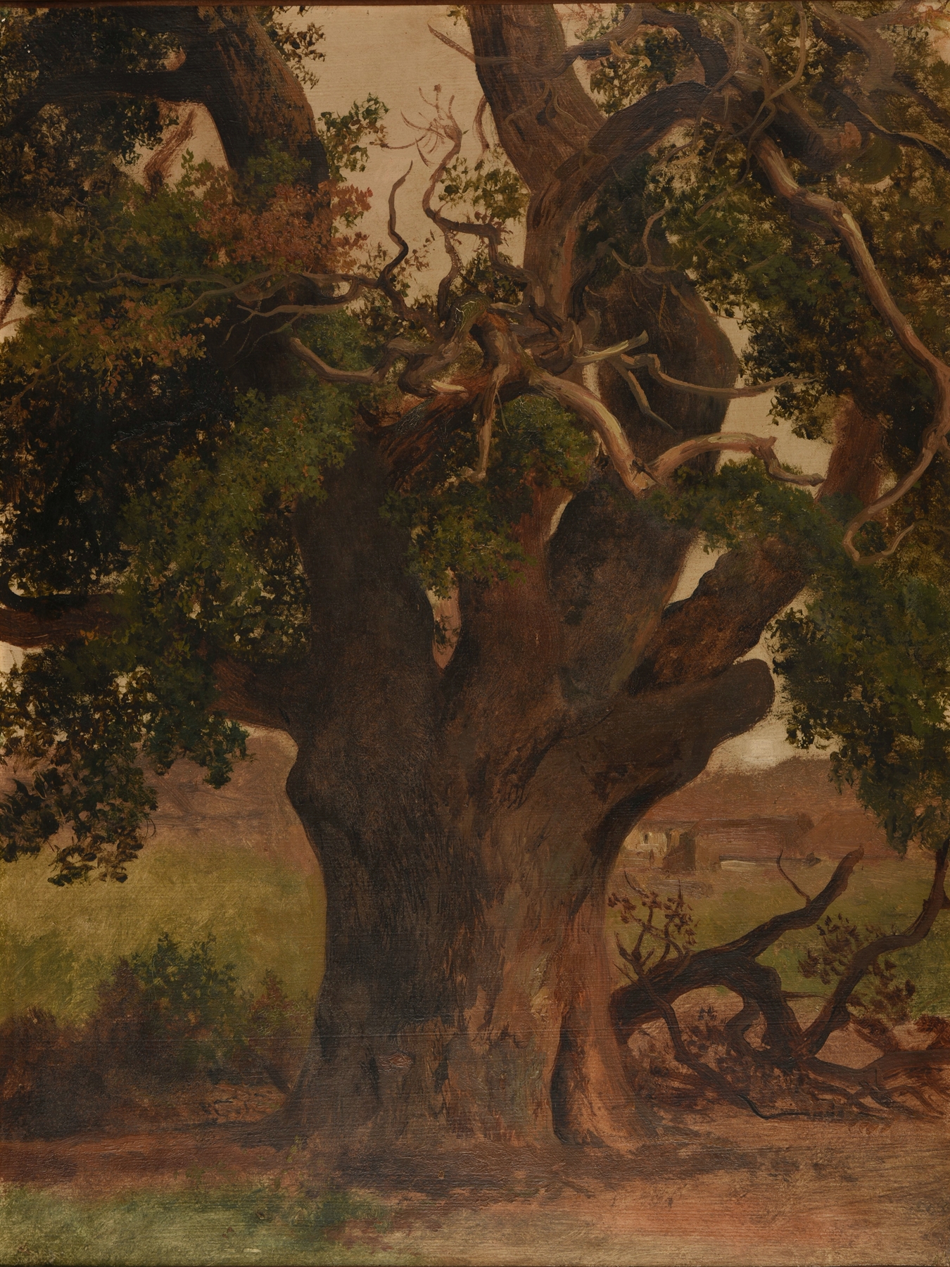 Le Vieux chêne by Jacques-Raymond Brascassat, oil painting depicting an oak tree in a forest.