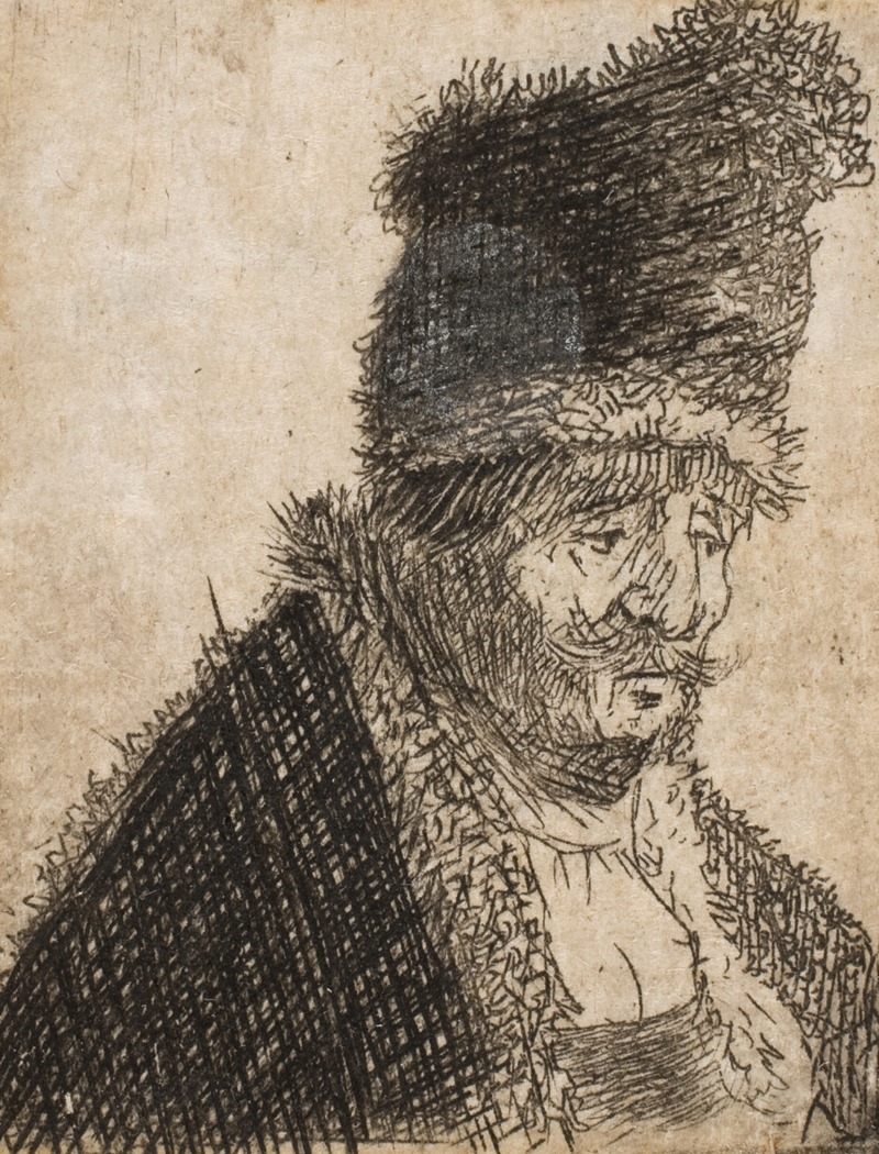 Rembrandt's painting features an old man in a fur coat and high cap.