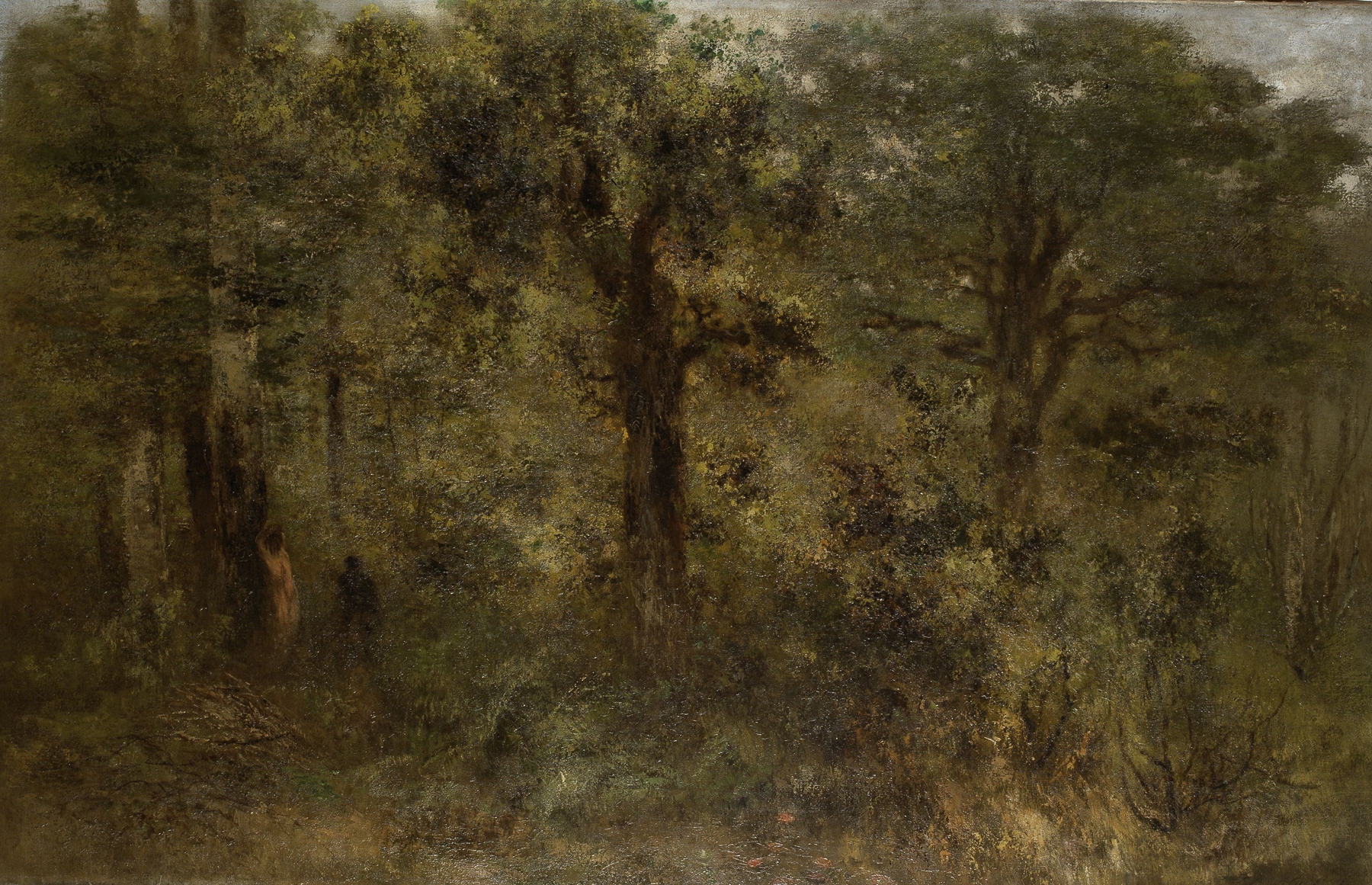 Woodland scene in Gasny by Xavier de Cock, oil on canvas depicting a lush forest.