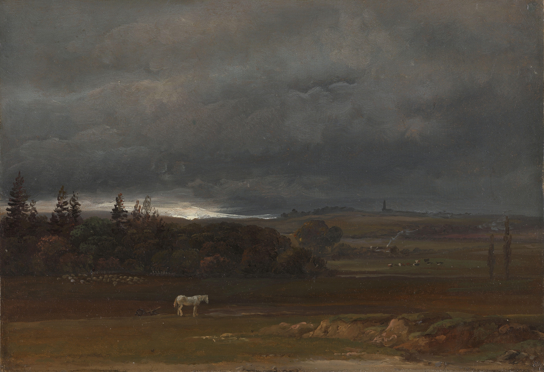 Fields near Dresden with a white horse, oil on canvas by Johan Christian Dahl