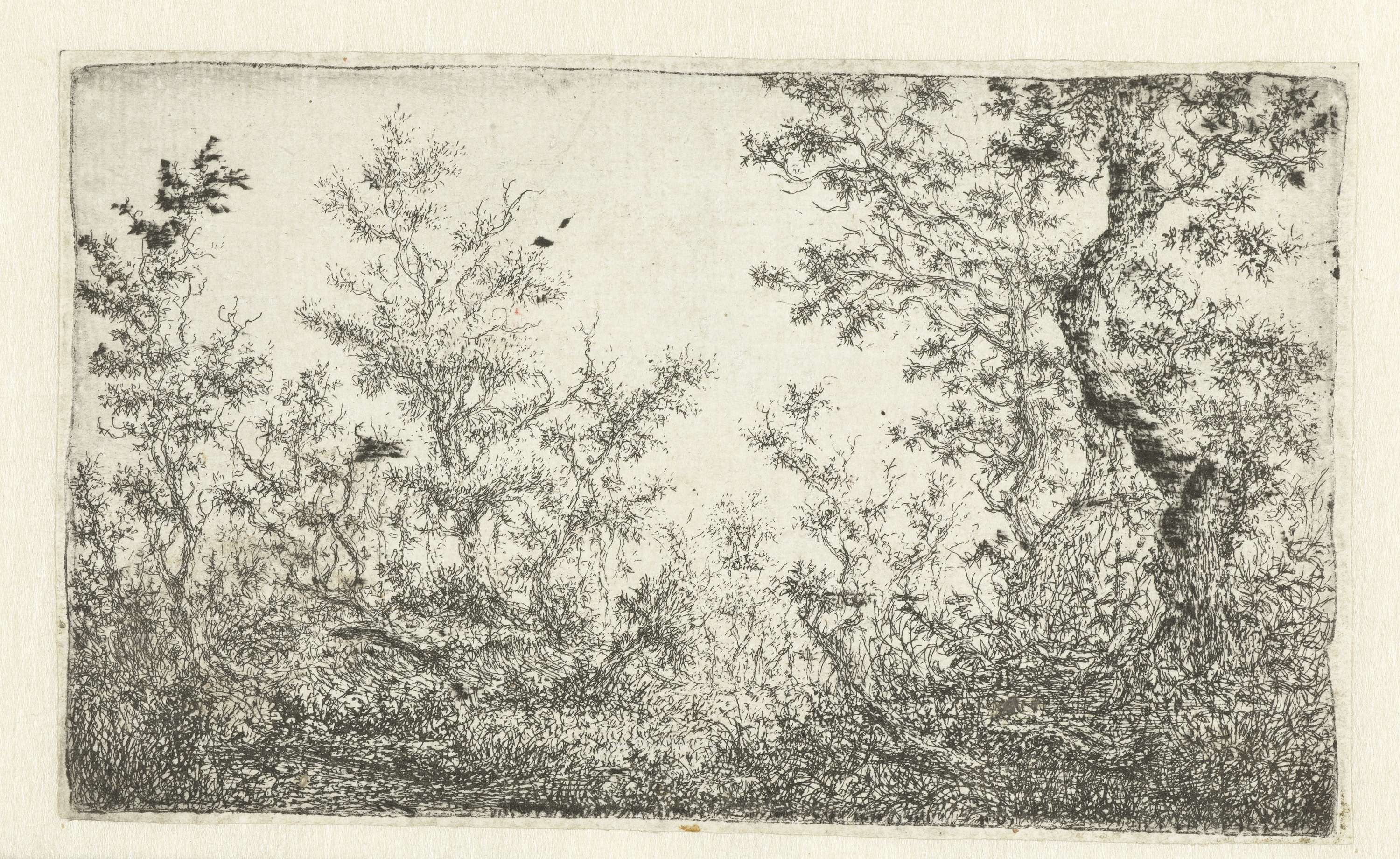 Etching by Claes van Beresteyn depicting a serene forest clearing with dappled sunlight.