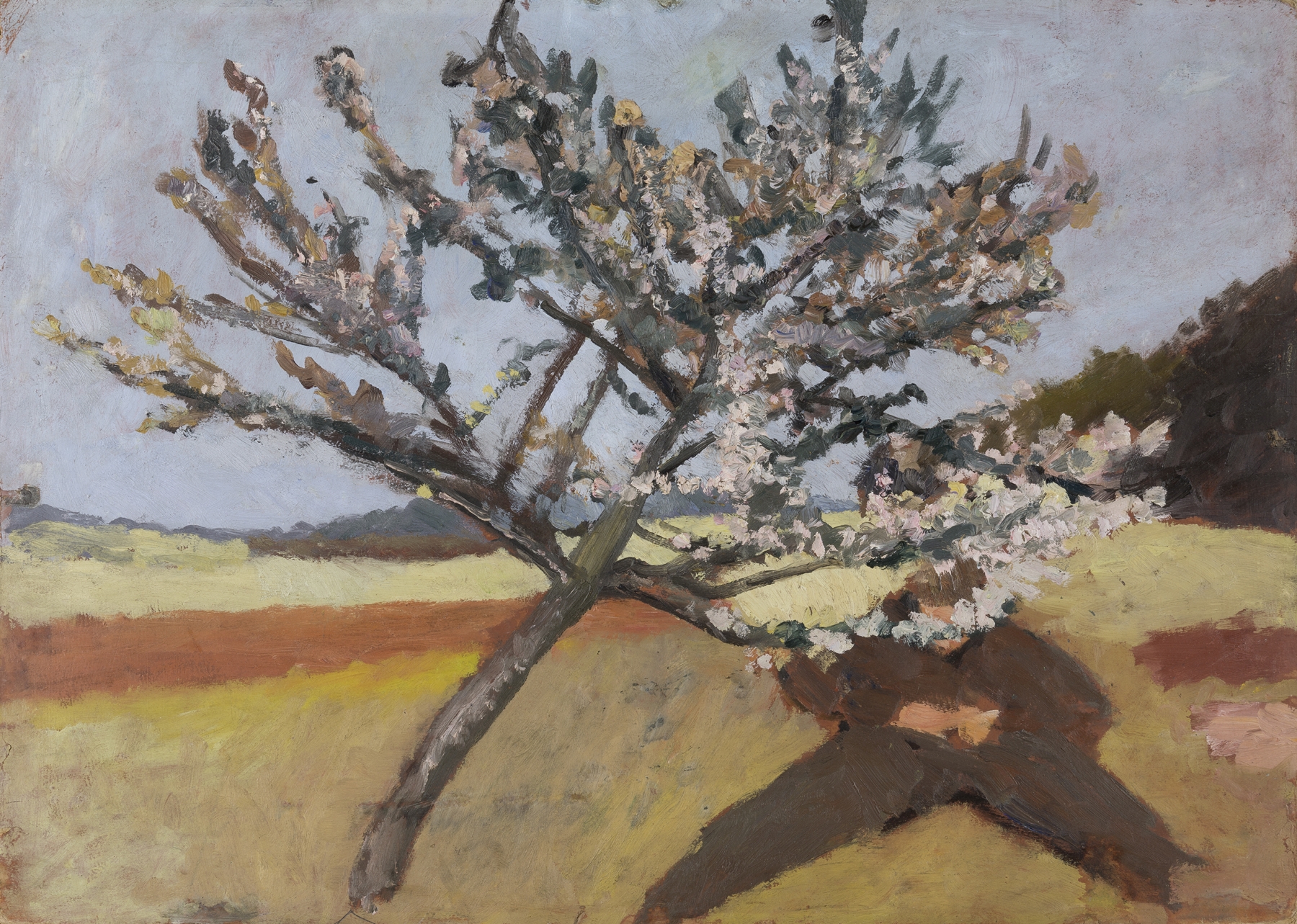 Man lying beneath a Blossoming Tree, by Paula Modersohn-Becker, public domain