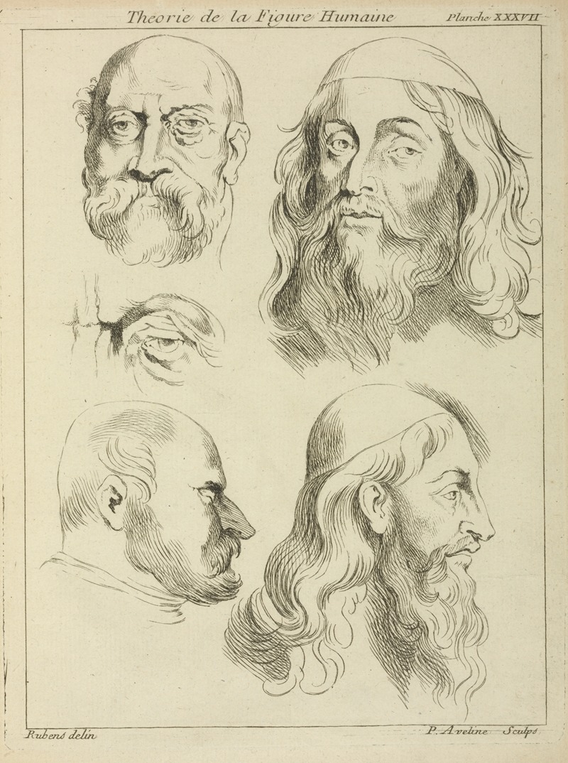 A study of men's heads and an eye by Peter Paul Rubens.