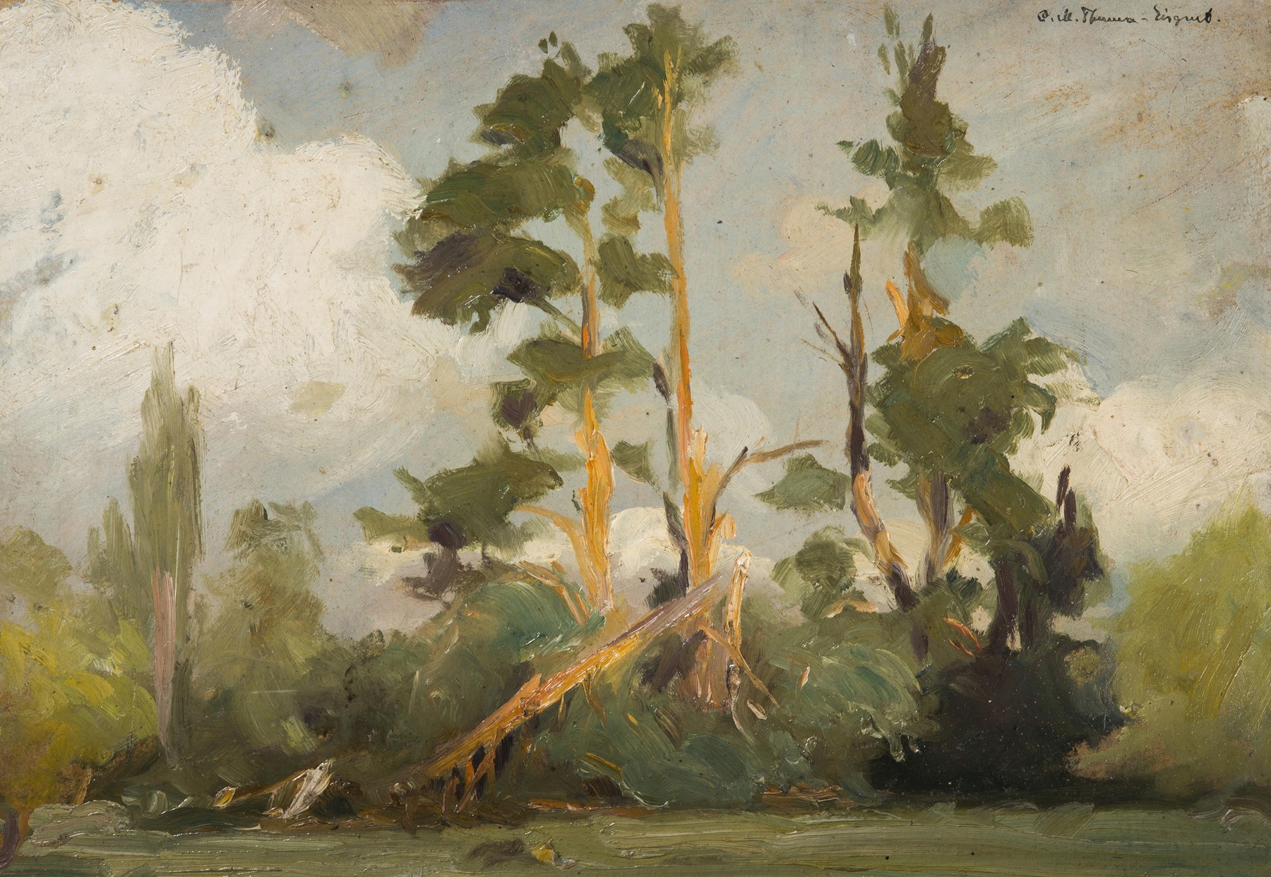 Study of Trees by Karl Maria Thuma, depicting a forest landscape with intertwining branches and soft light.