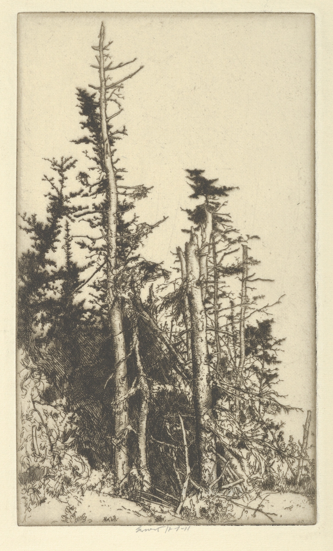 Skeletons, by Ernest Haskell, public domain
