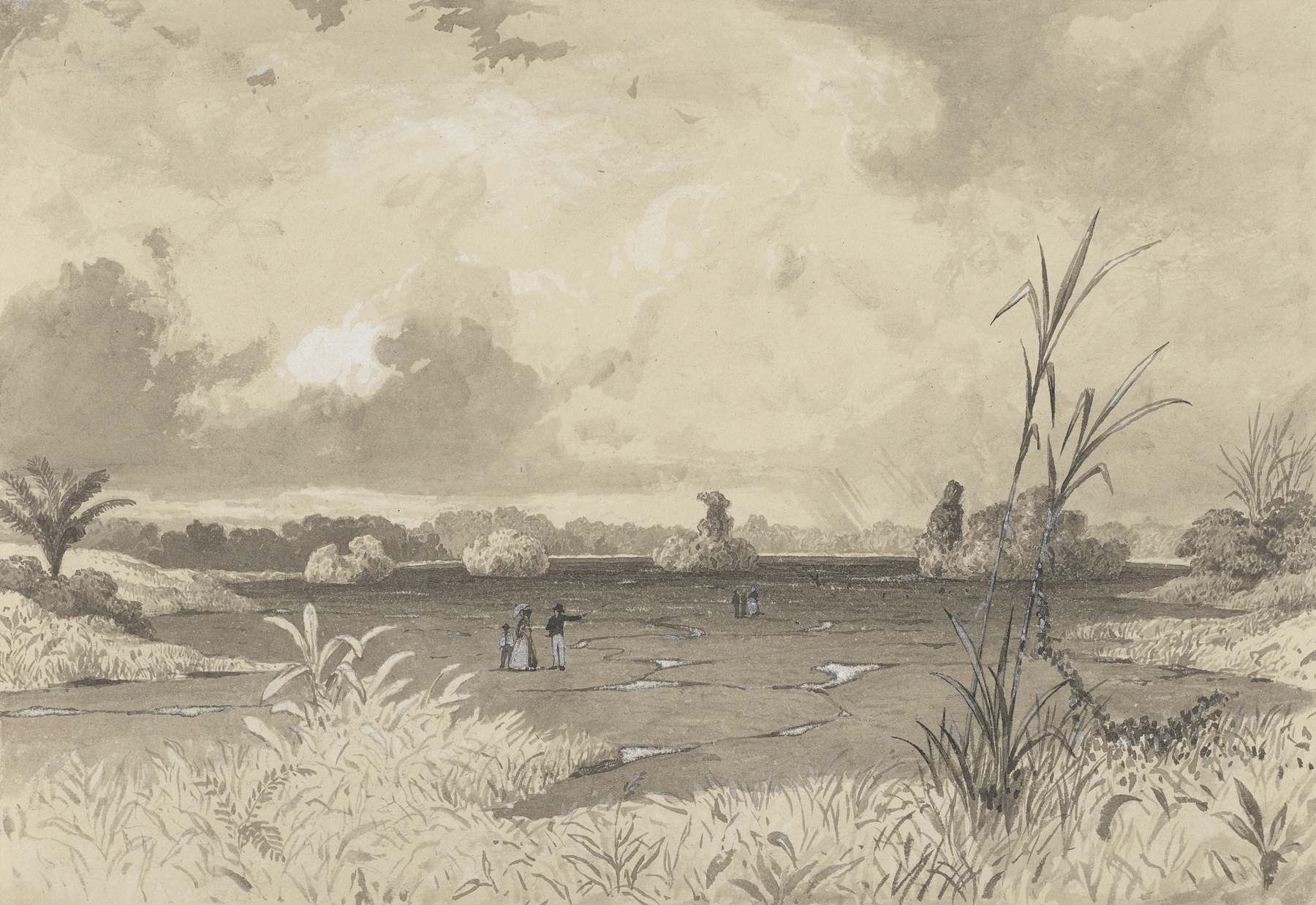 The Pitch Lake by Michel Jean Cazabon, oil painting depicting a vibrant landscape.