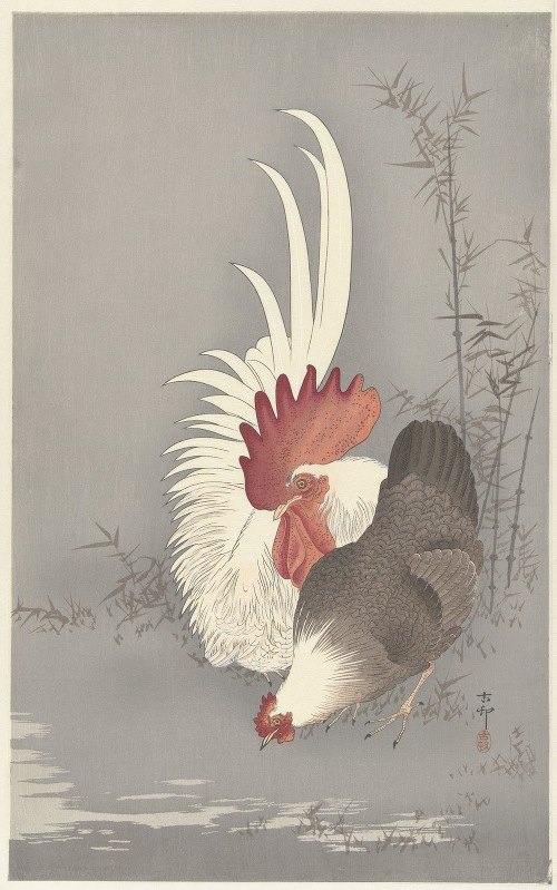A detailed depiction of a rooster and chicken by Ohara Koson.