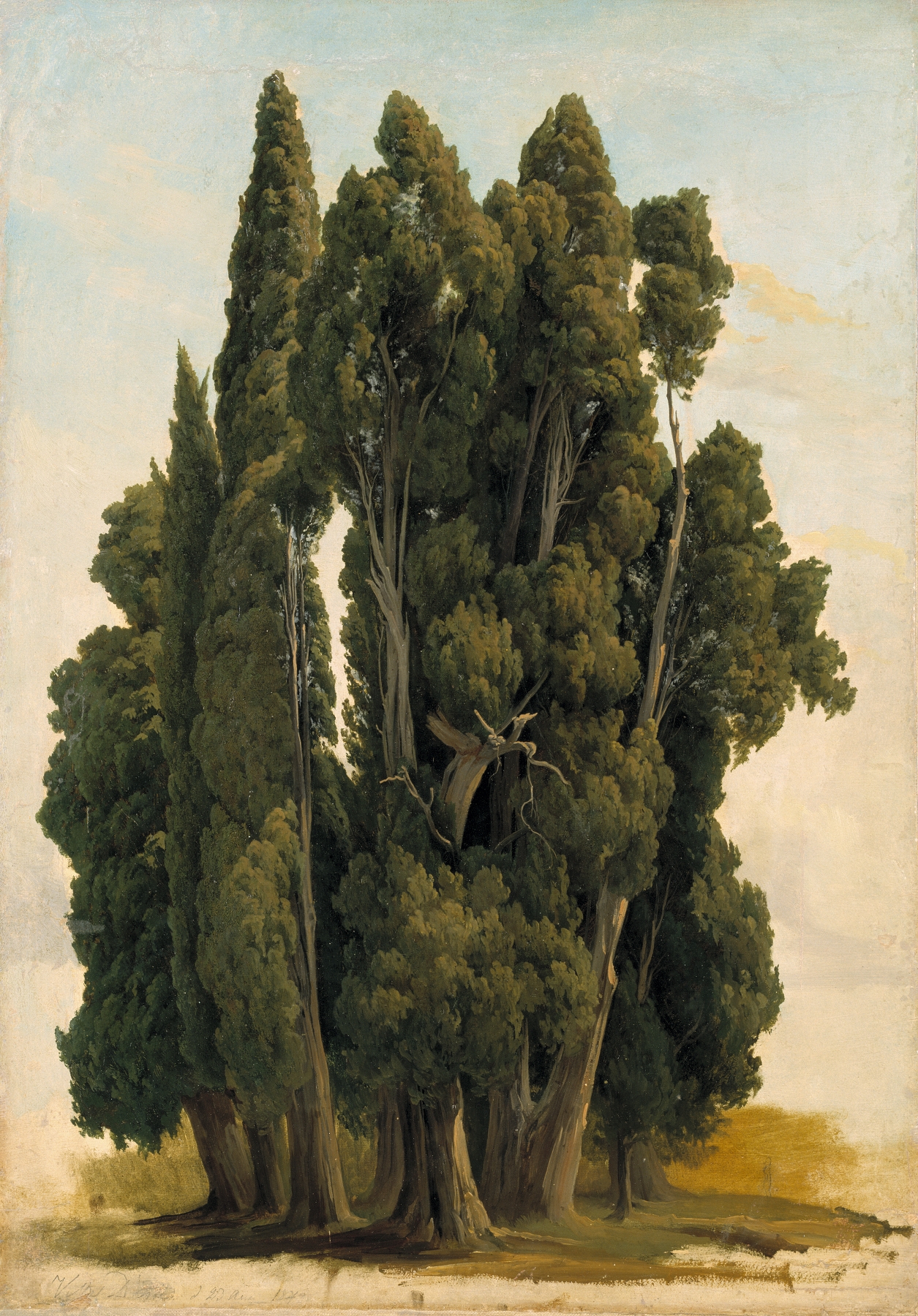 Cypresses. Study by Gustaf Wilhelm Palm, oil on canvas depicting cypress trees in a serene landscape.