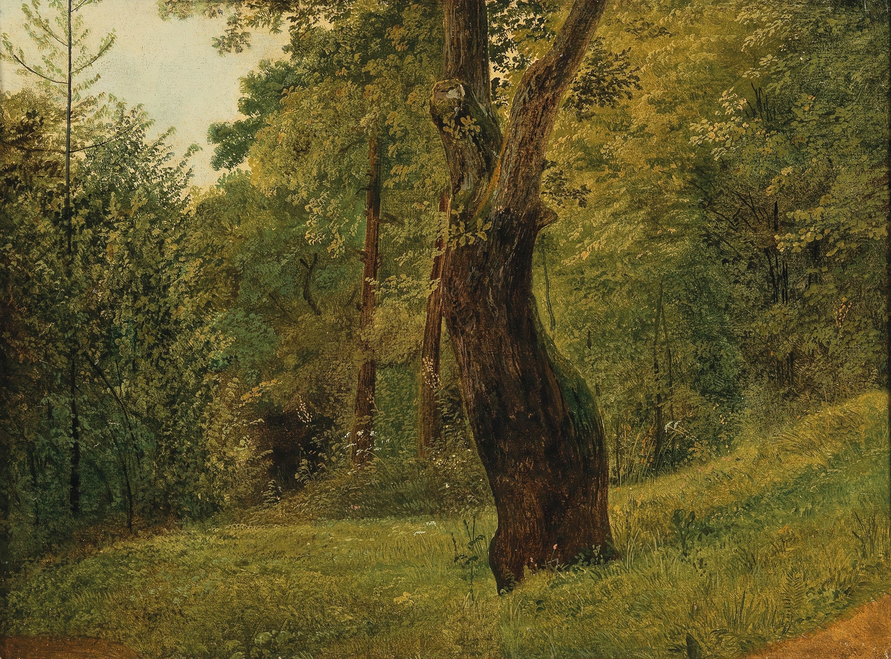Oil on canvas by Circle of Friedrich Gauermann depicting a tree at the edge of the woods