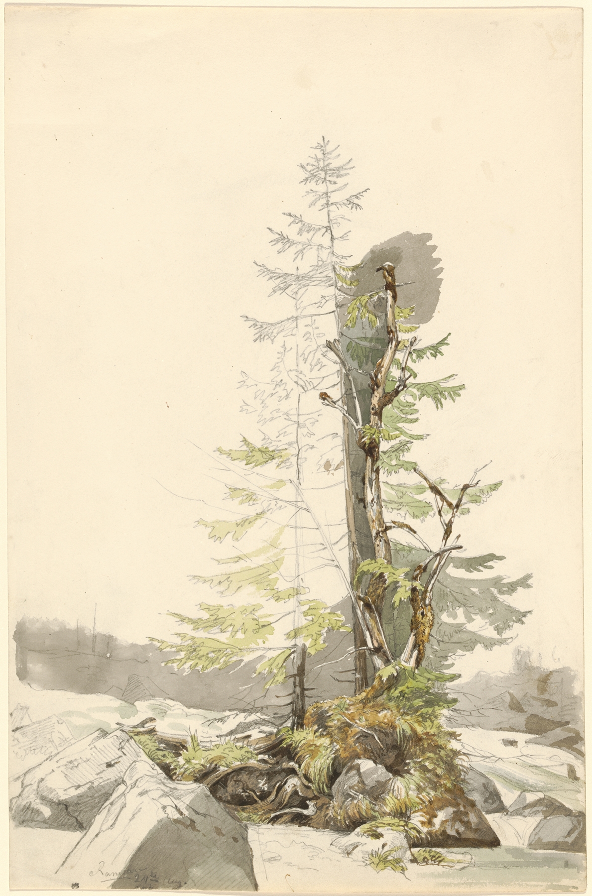 A Clump of Trees by a Rocky Stream in the Ramsau, by Carl Morgenstern, public domain