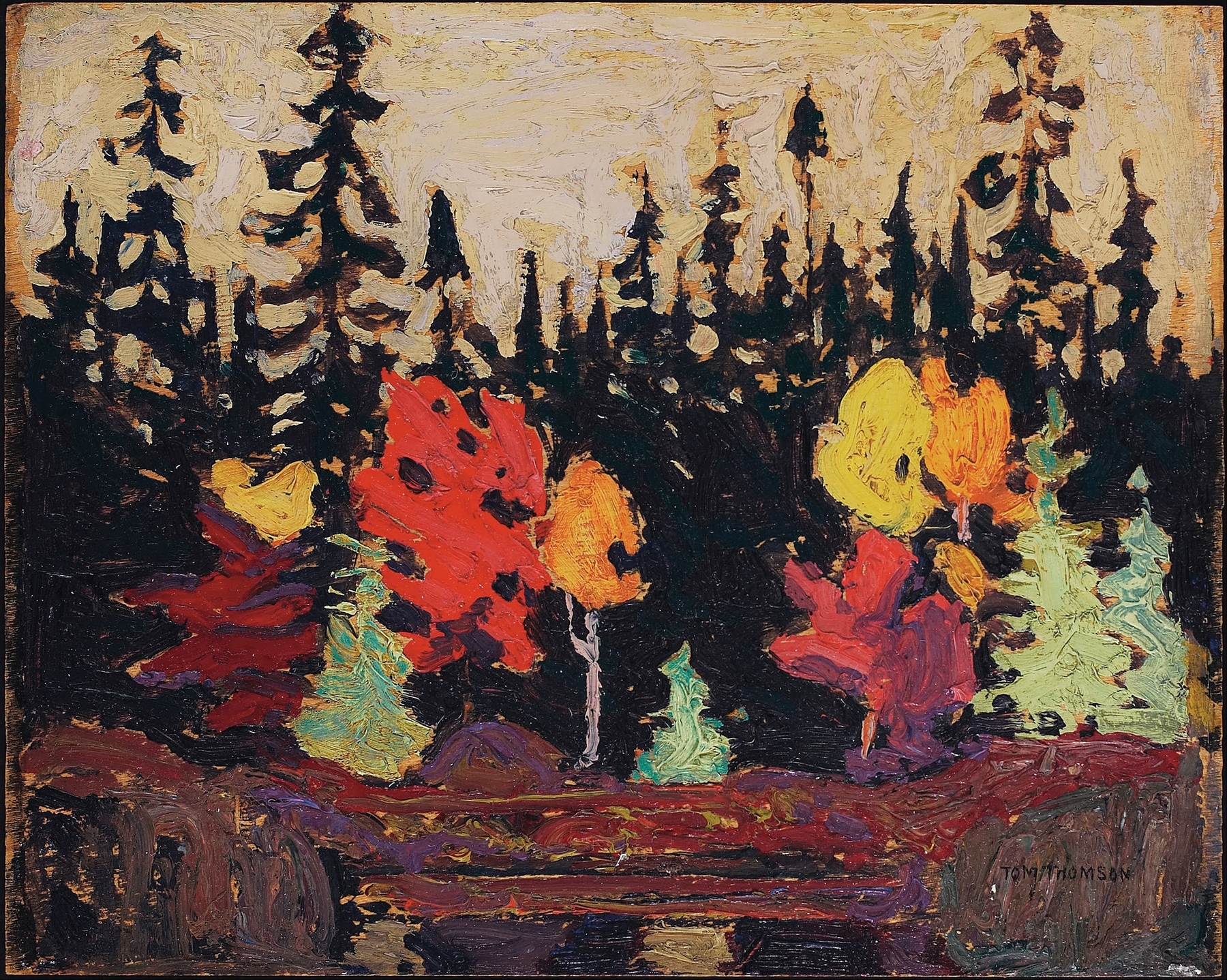 Black Spruce and Maple by Tom Thomson, oil on canvas depicting a forest with spruces and maples.