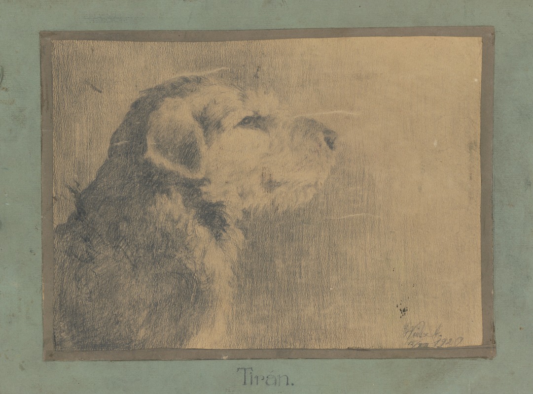 A painting of a dog by Arnold Peter Weisz-Kubínčan.