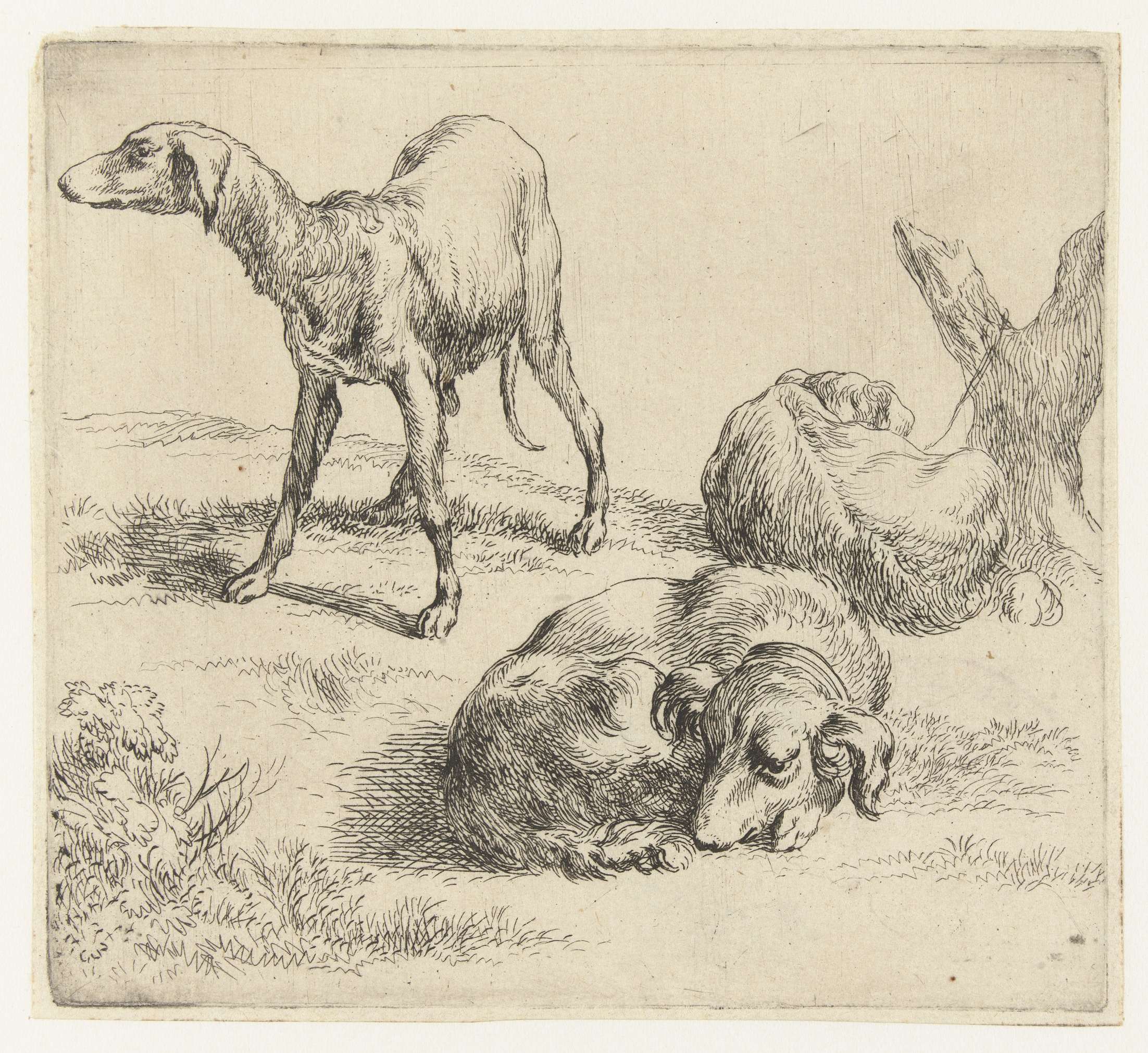 Drie honden, by Nicolaes Pietersz Berchem, public domain