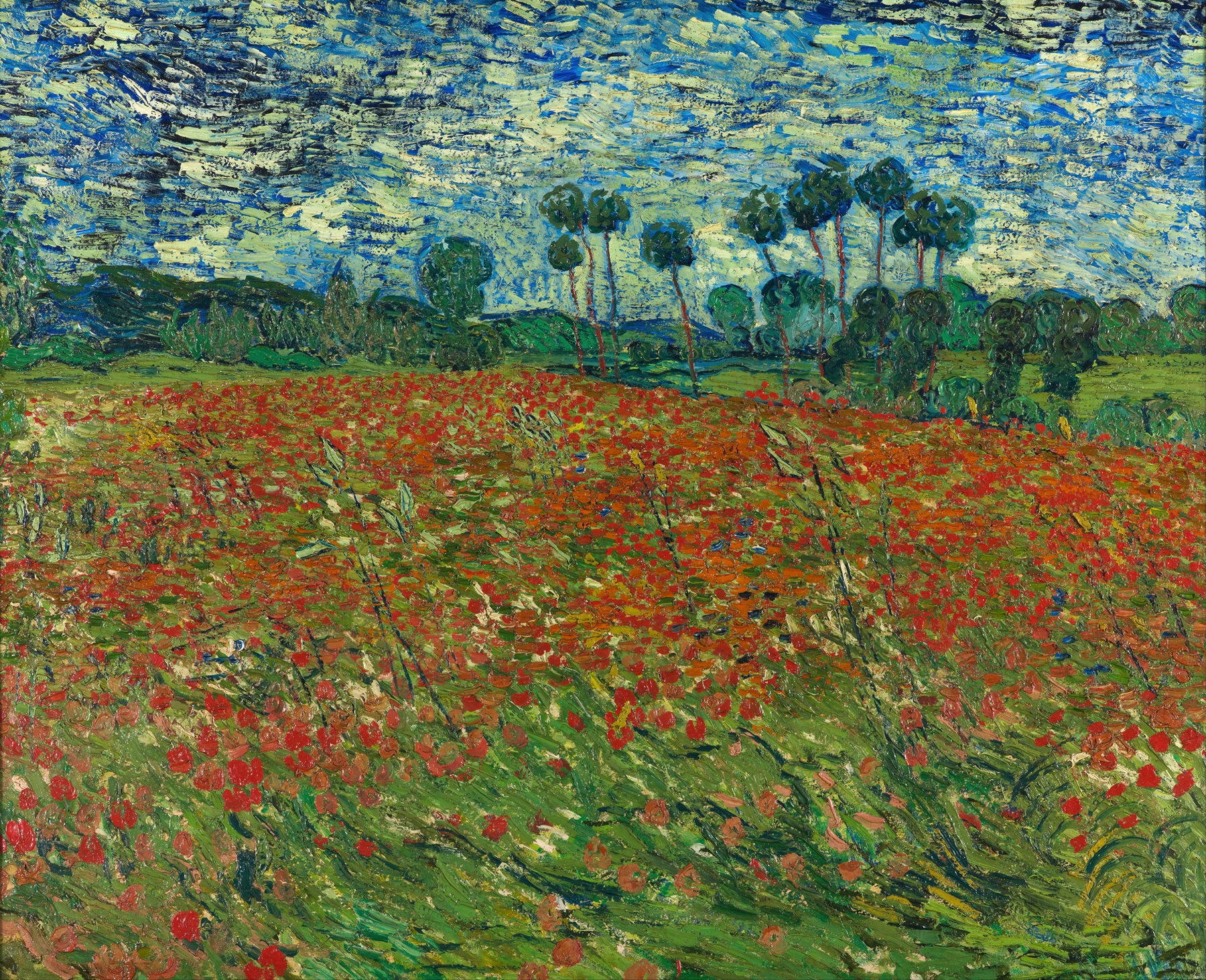 Poppy field by Vincent van Gogh, oil on canvas, featuring vibrant red poppies and lush greenery.