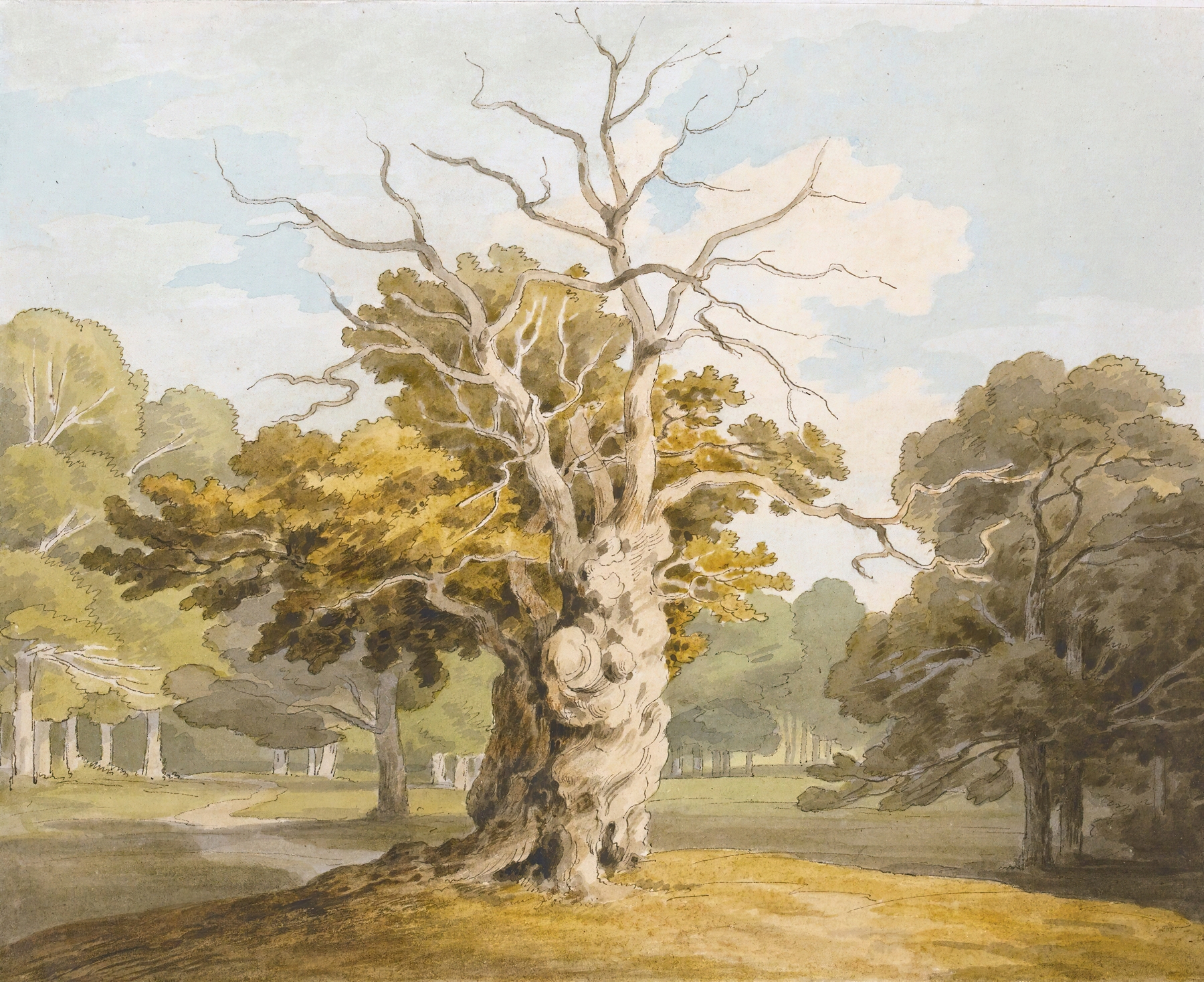 An oak tree in a landscape, oil painting by John White Abbott
