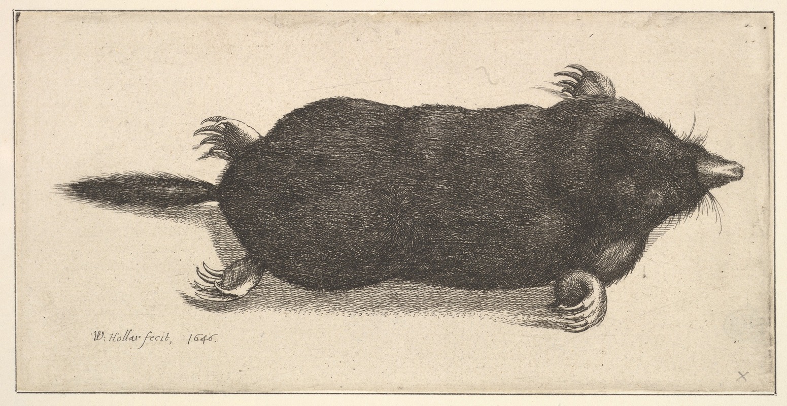 A still life painting featuring a dead mole on a table.