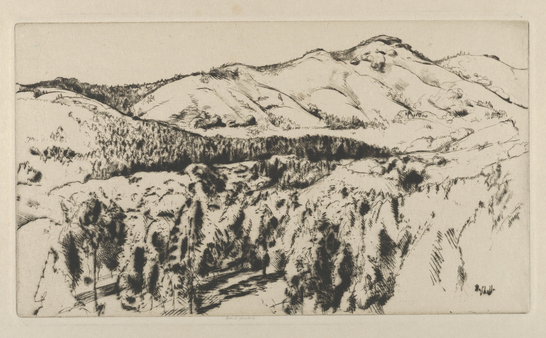 Old Grizzly, by Ernest Haskell, public domain