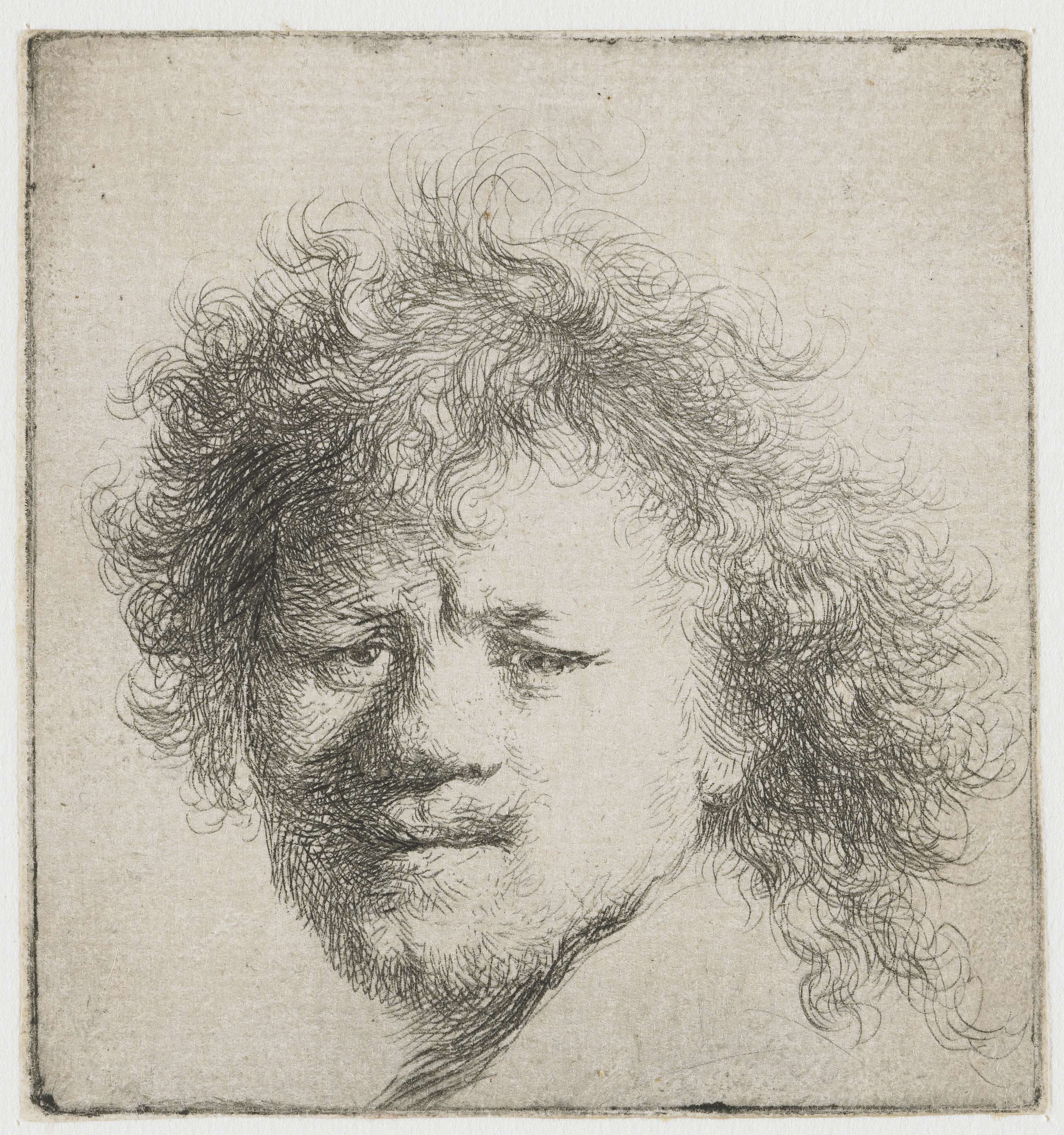 Self-portrait with long bushy hair, etching by Rembrandt van Rijn
