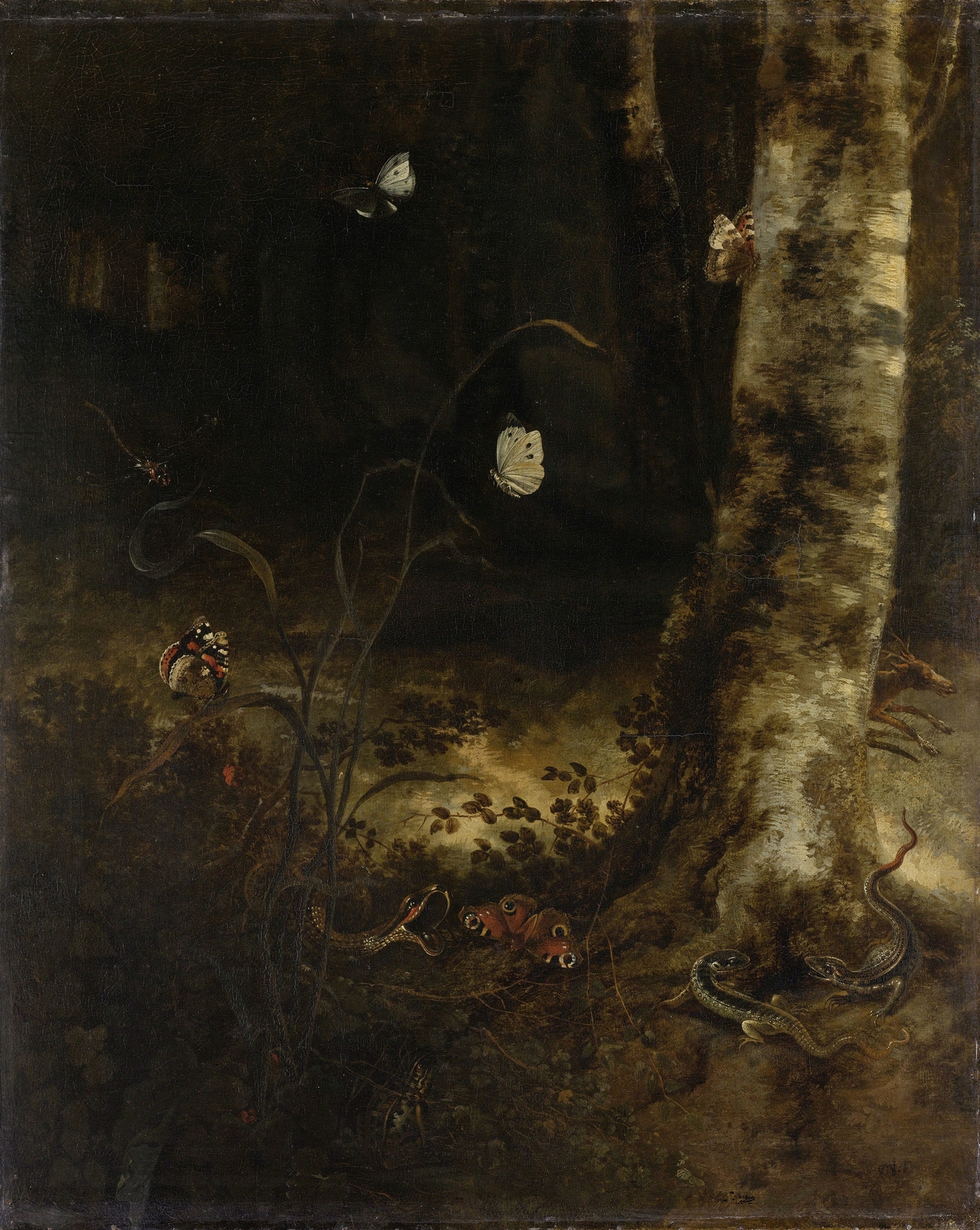 Forest Floor with a Snake, Lizards, Butterflies and other Insects, by Otto Marseus van Schrieck, public domain