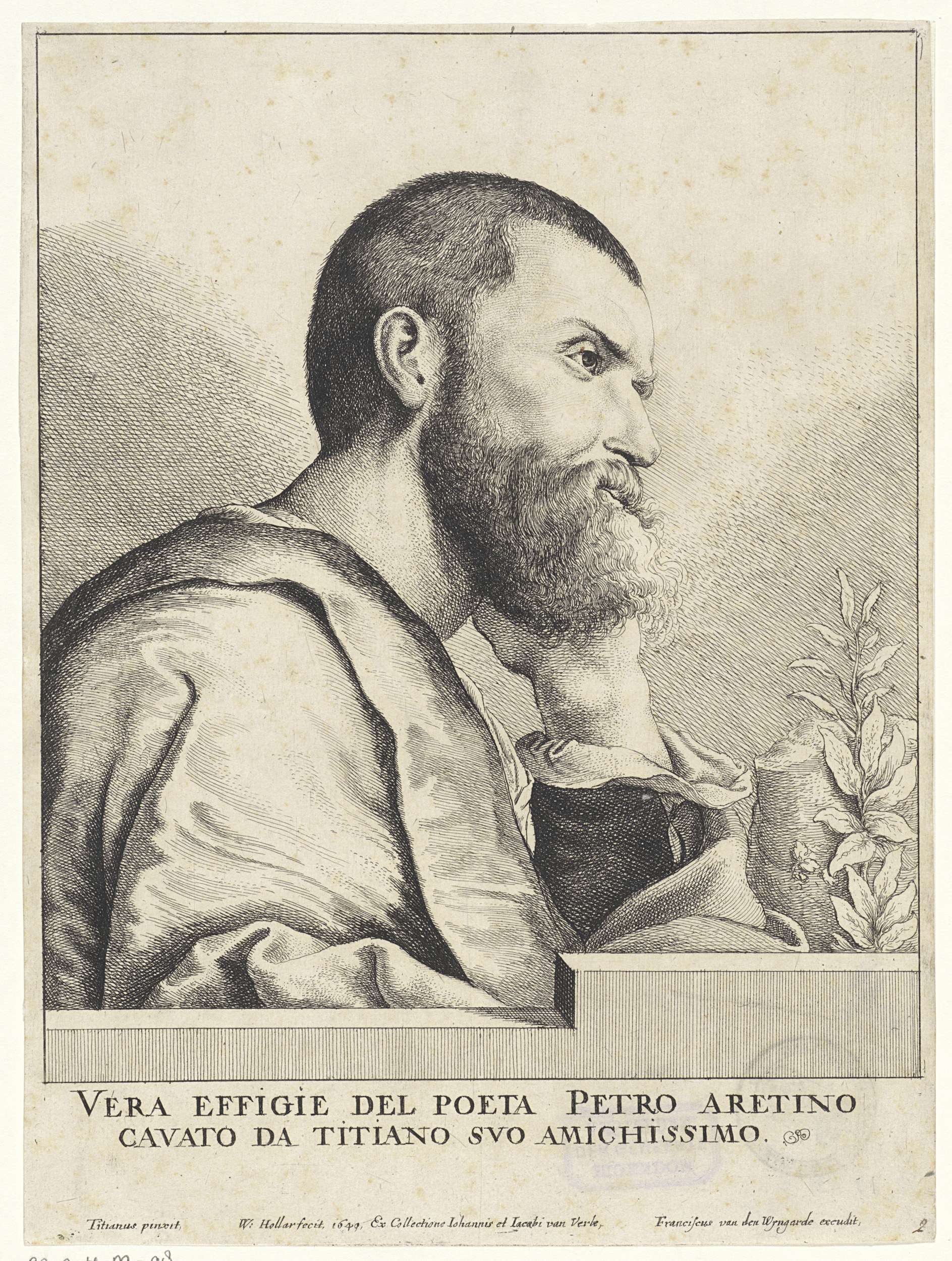 Portrait of Pietro Aretino, etching by Wenceslaus Hollar, featuring intricate lace collar.