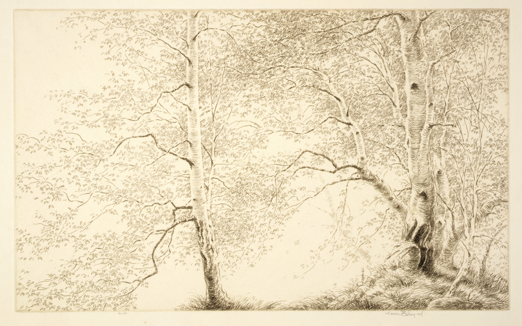 Birches by Kerr Eby, oil painting depicting birch trees in a lush landscape