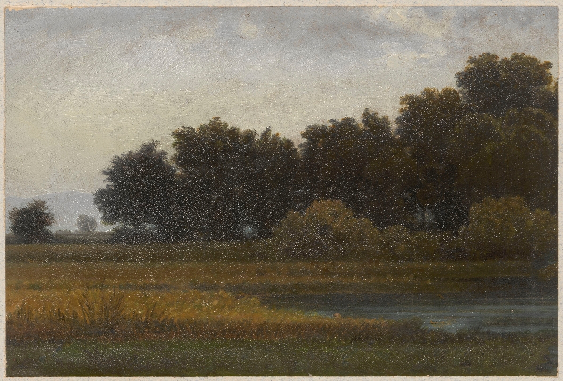 View of a meadow with a pond, by Arthur Blaschnik, public domain
