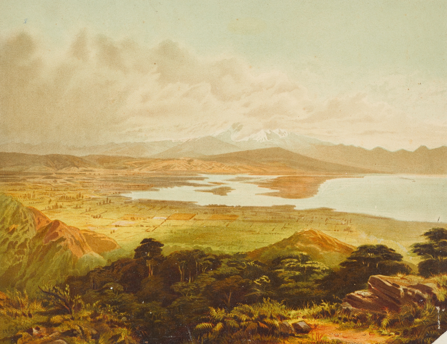 Waimea Plains by John Gully, oil painting depicting rolling hills and countryside.