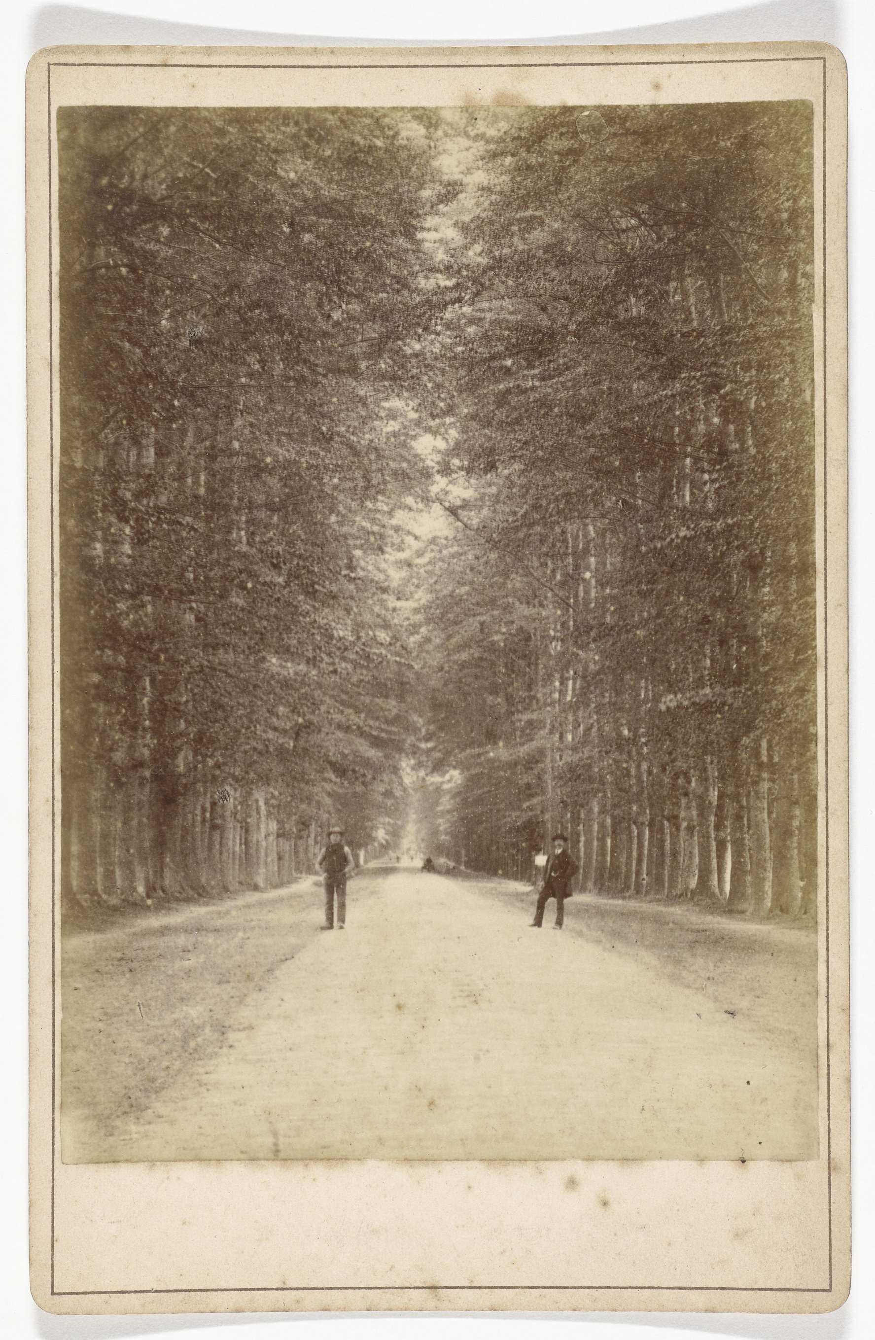 Albumen print by J.S.J. de Jongh depicting a serene landscape with trees and sunlight.