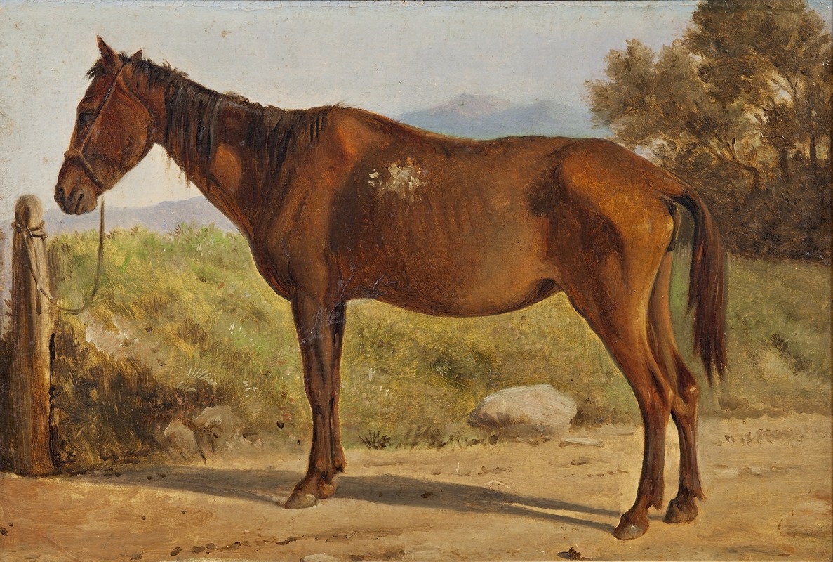 A study of an old standing horse by Wilhelm Marstrand.