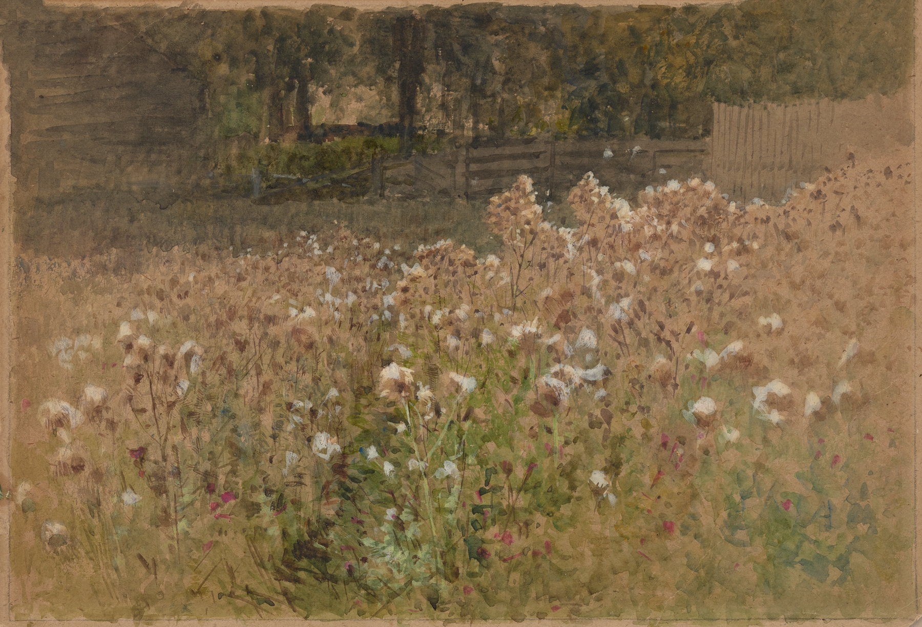 Vibrant flowers in a sunlit meadow, oil painting by Albert Fitch Bellows