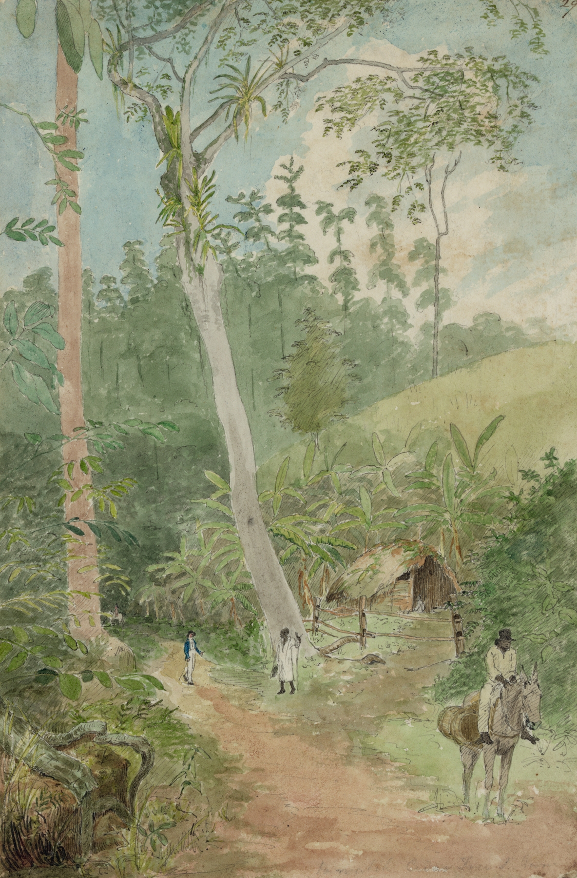 Genre scene with figures near a plantain tree, oil painting by William Berryman