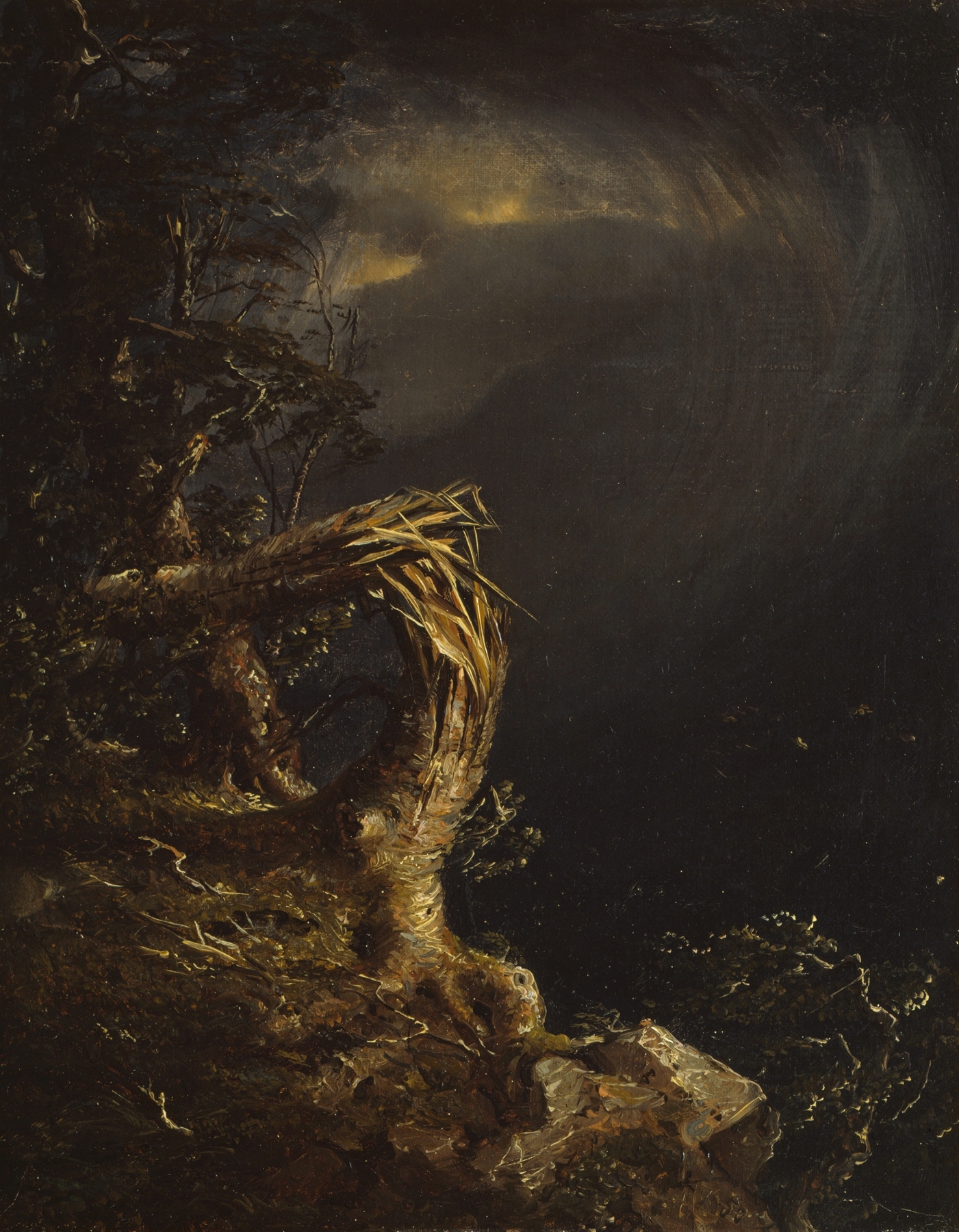 Blasted Tree by Jasper Francis Cropsey, oil on canvas depicting a gnarled tree against a vast sky.