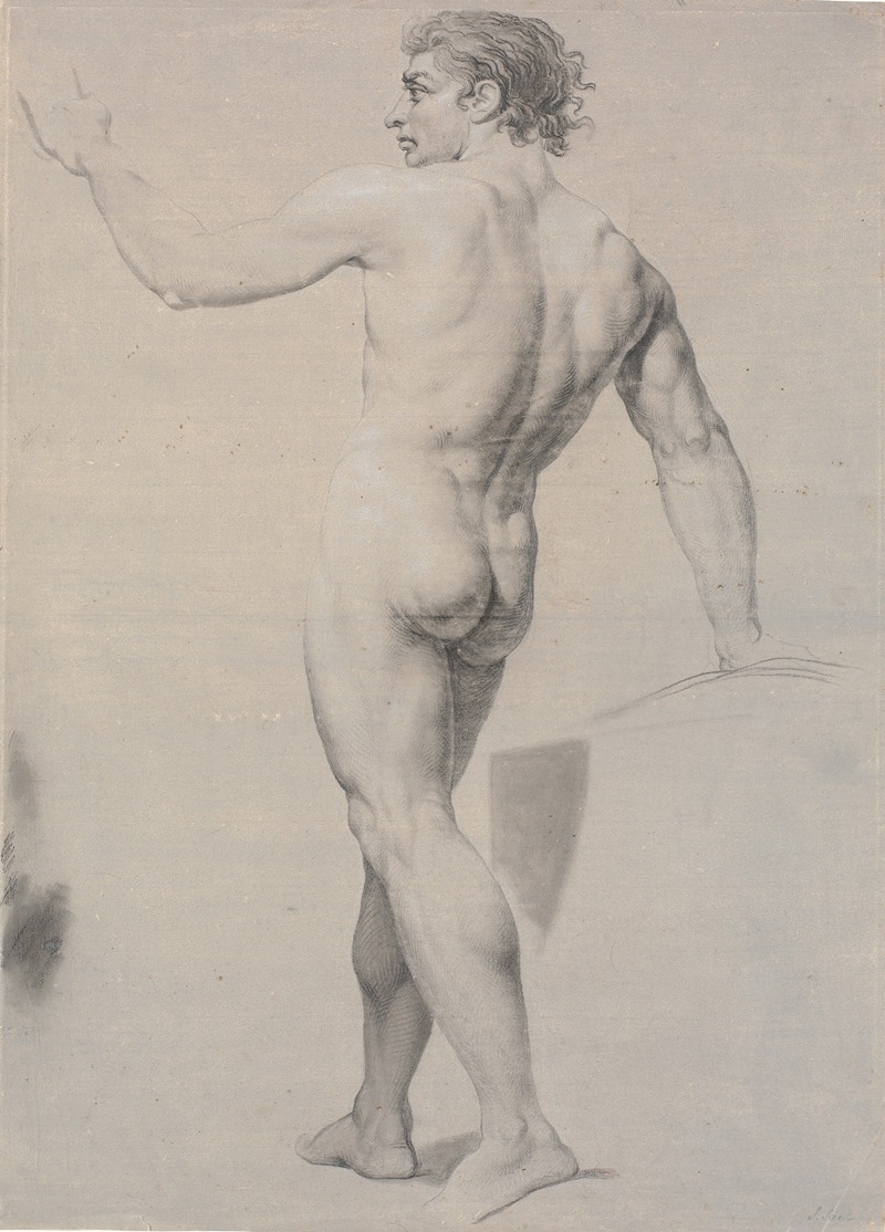 A standing model viewed from the back with a raised left arm.