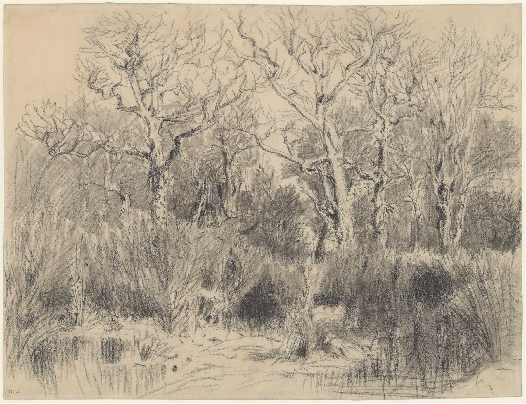 Trees in a Thicket, by Théodore Rousseau, public domain