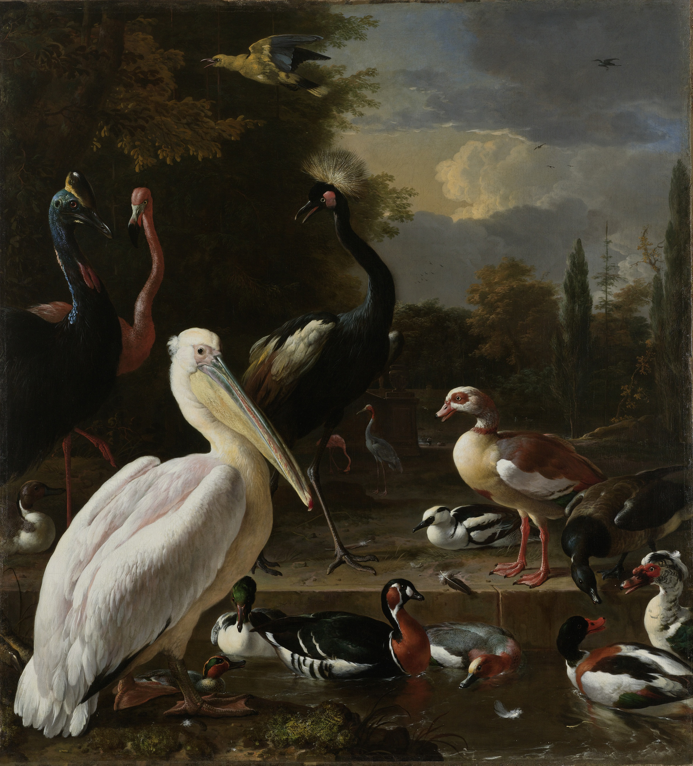 A Pelican and other Birds near a Pool, Known as ‘The Floating Feather’, by Melchior d'Hondecoeter, public domain