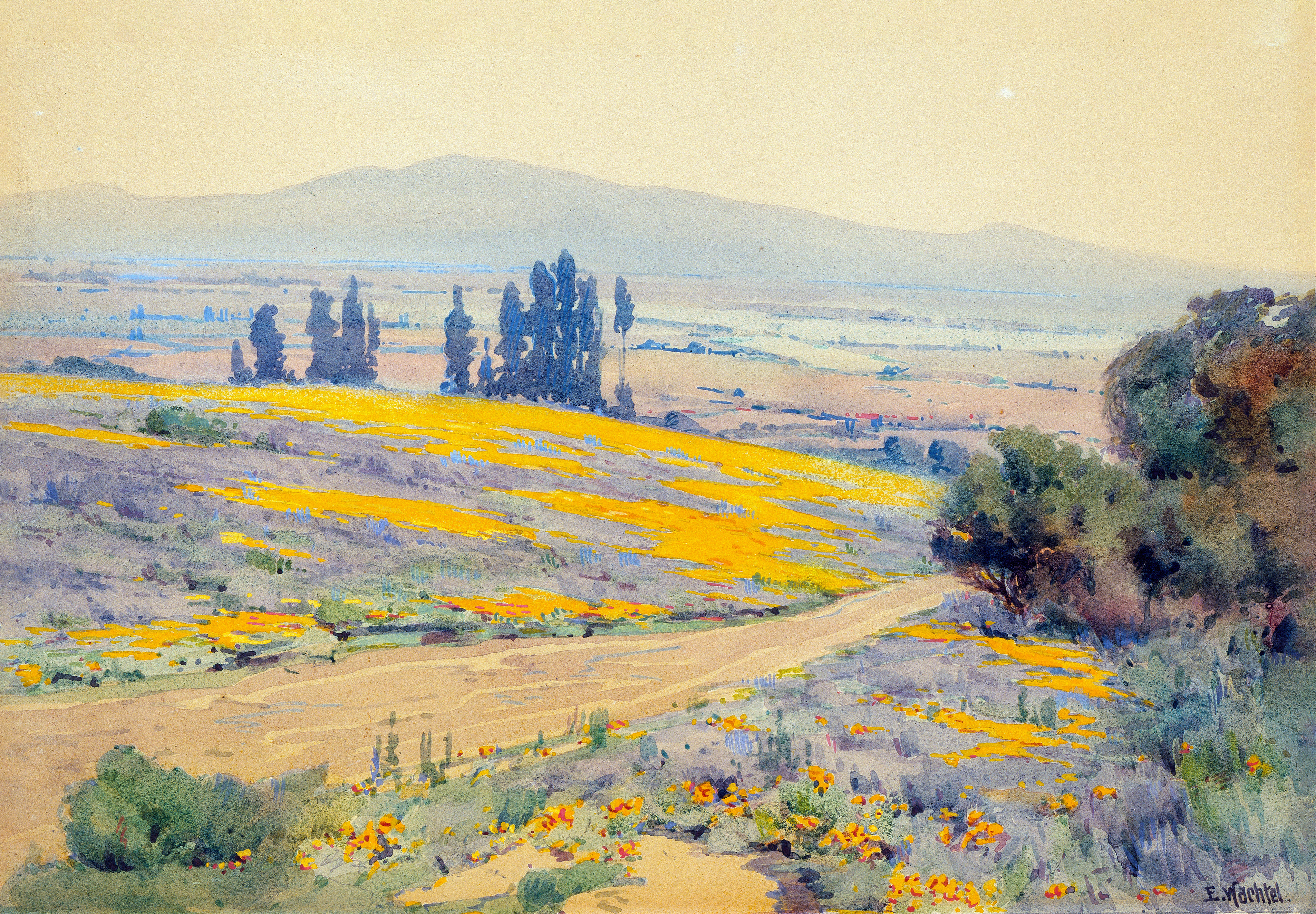 California Spring Landscape by Elmer Wachtel, impressionism, depicting rolling hills and wildflowers in spring.