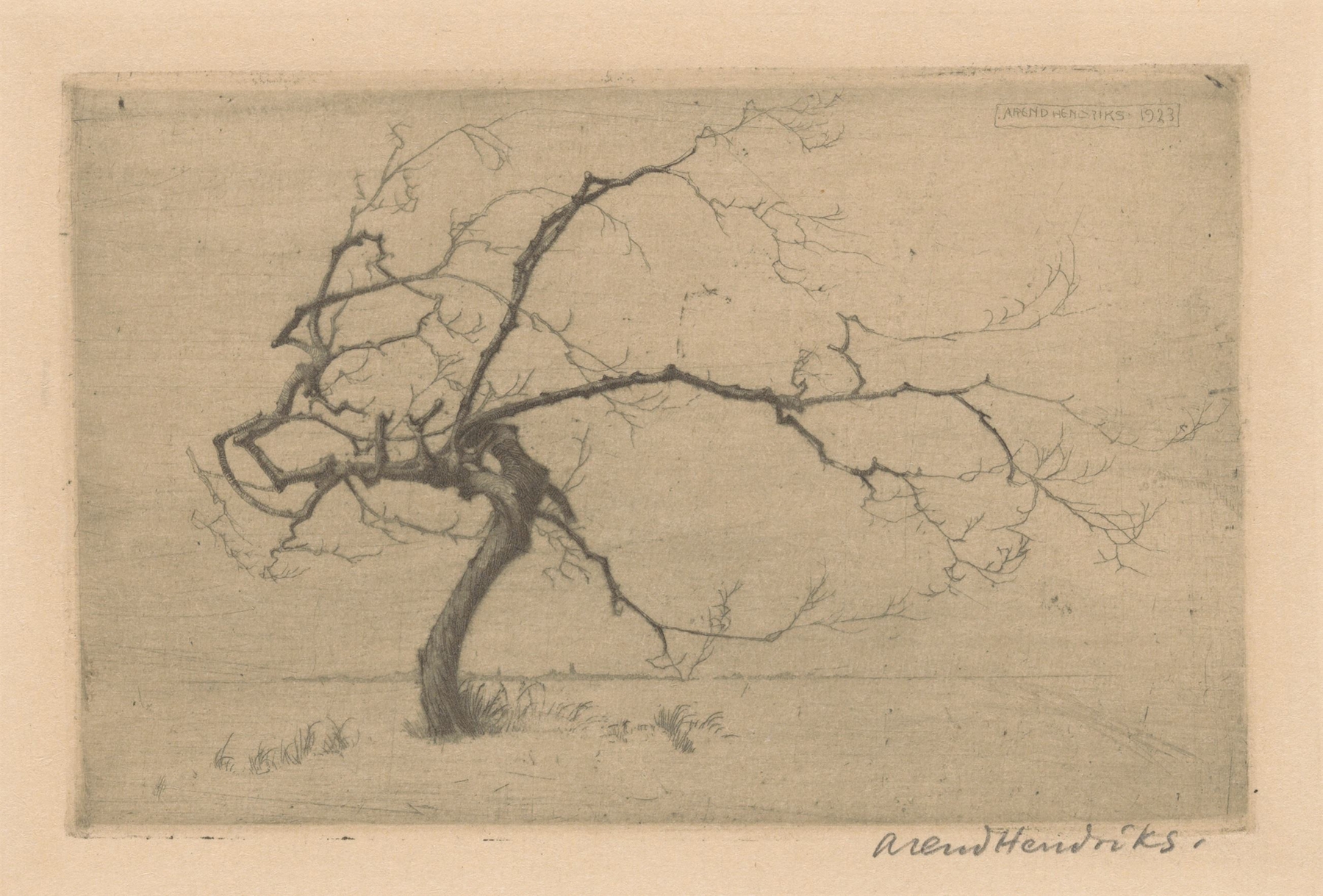 Klein boompje by Arend Hendriks, oil on canvas depicting a solitary tree in a calm landscape