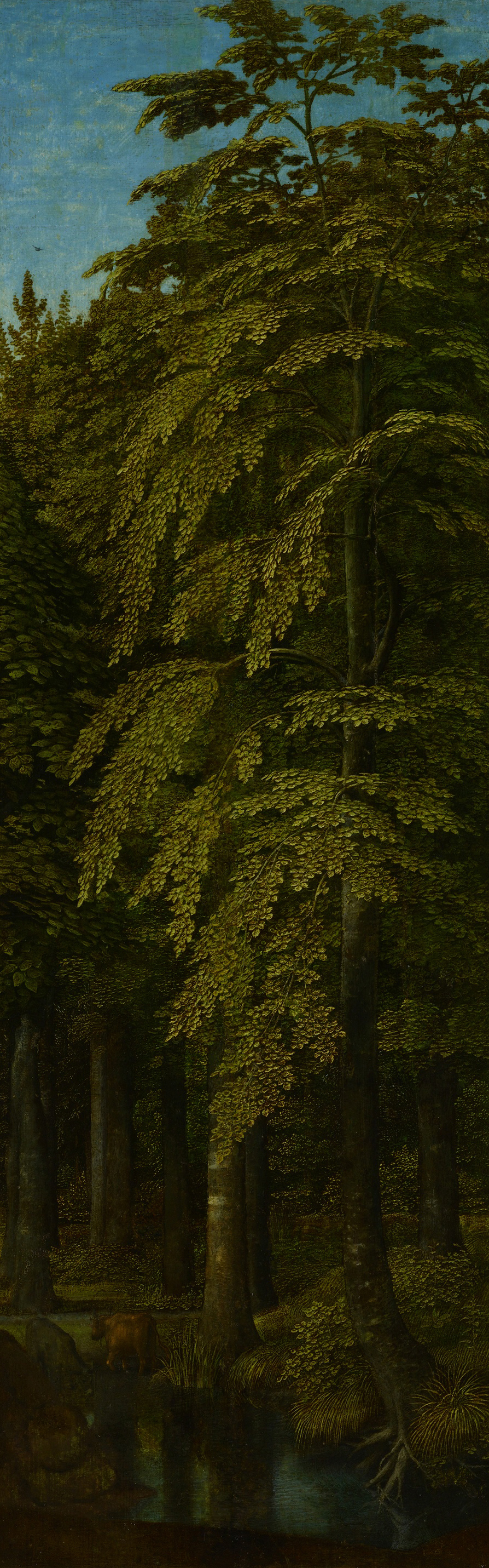 Forest scene with sunlight filtering through trees, oil on panel by Gerard David