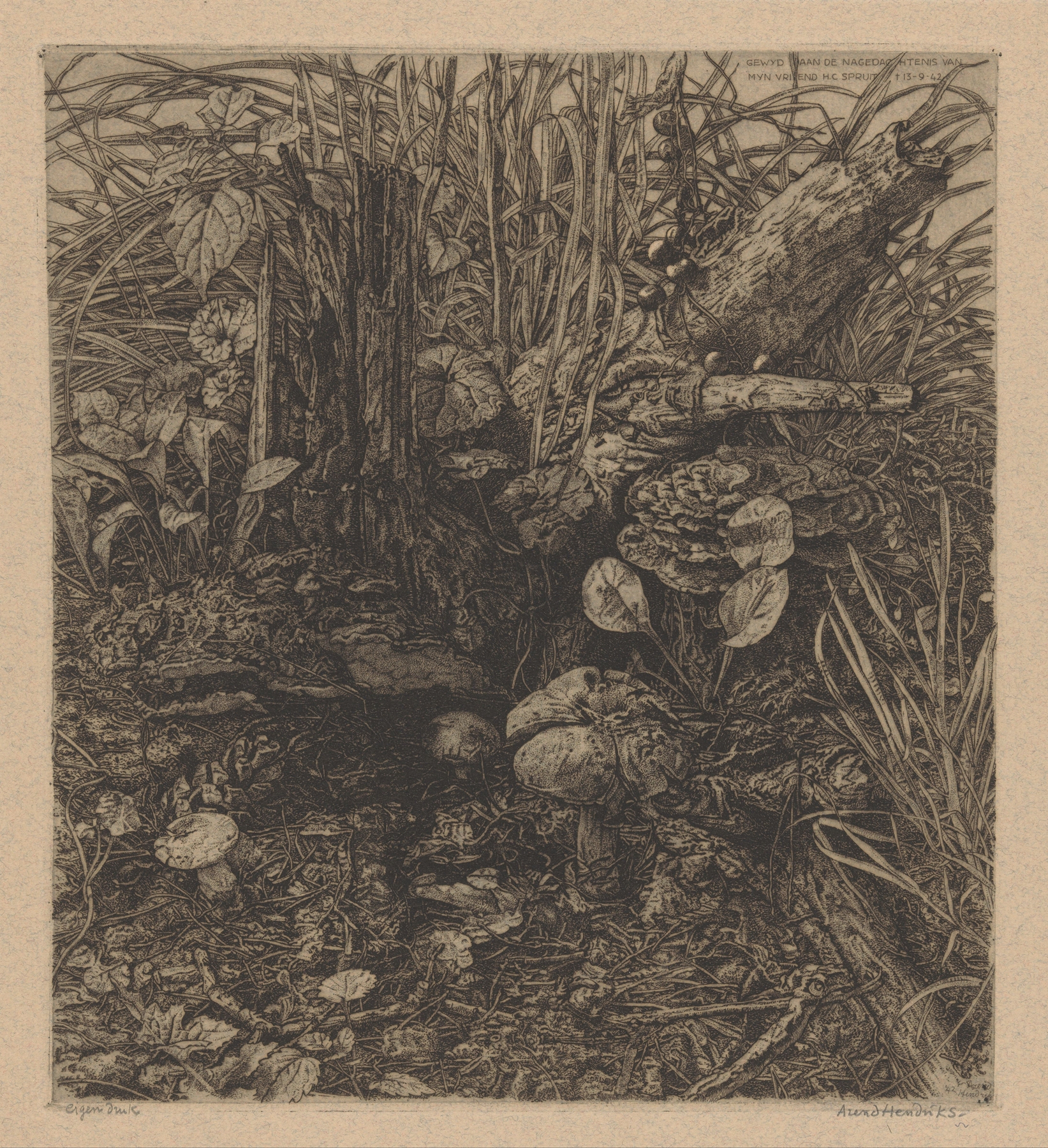 Botanical scene with mushrooms and a tree stump by Arend Hendriks, oil painting