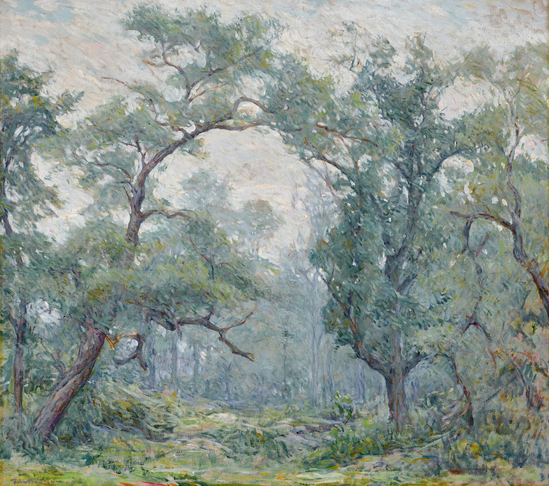 Old Willows by Robert Reid, oil on canvas depicting graceful willows and their shadows.