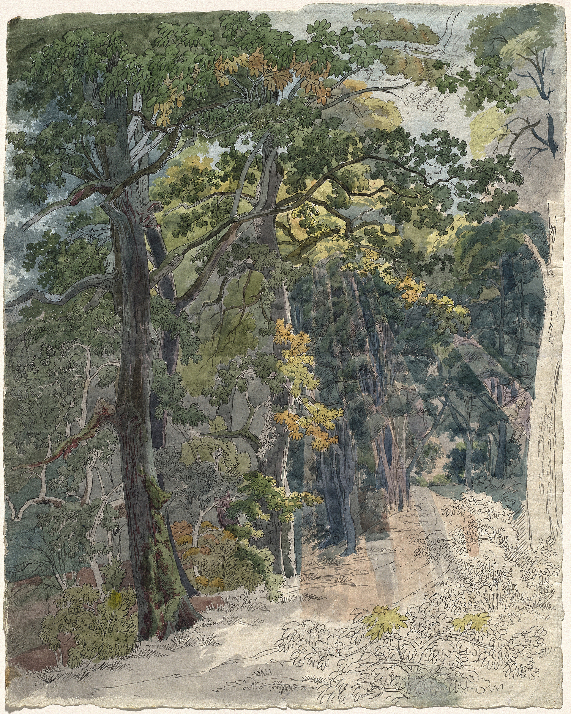 Woodland path illuminated by sunlight, oil painting by Friedrich Salathé