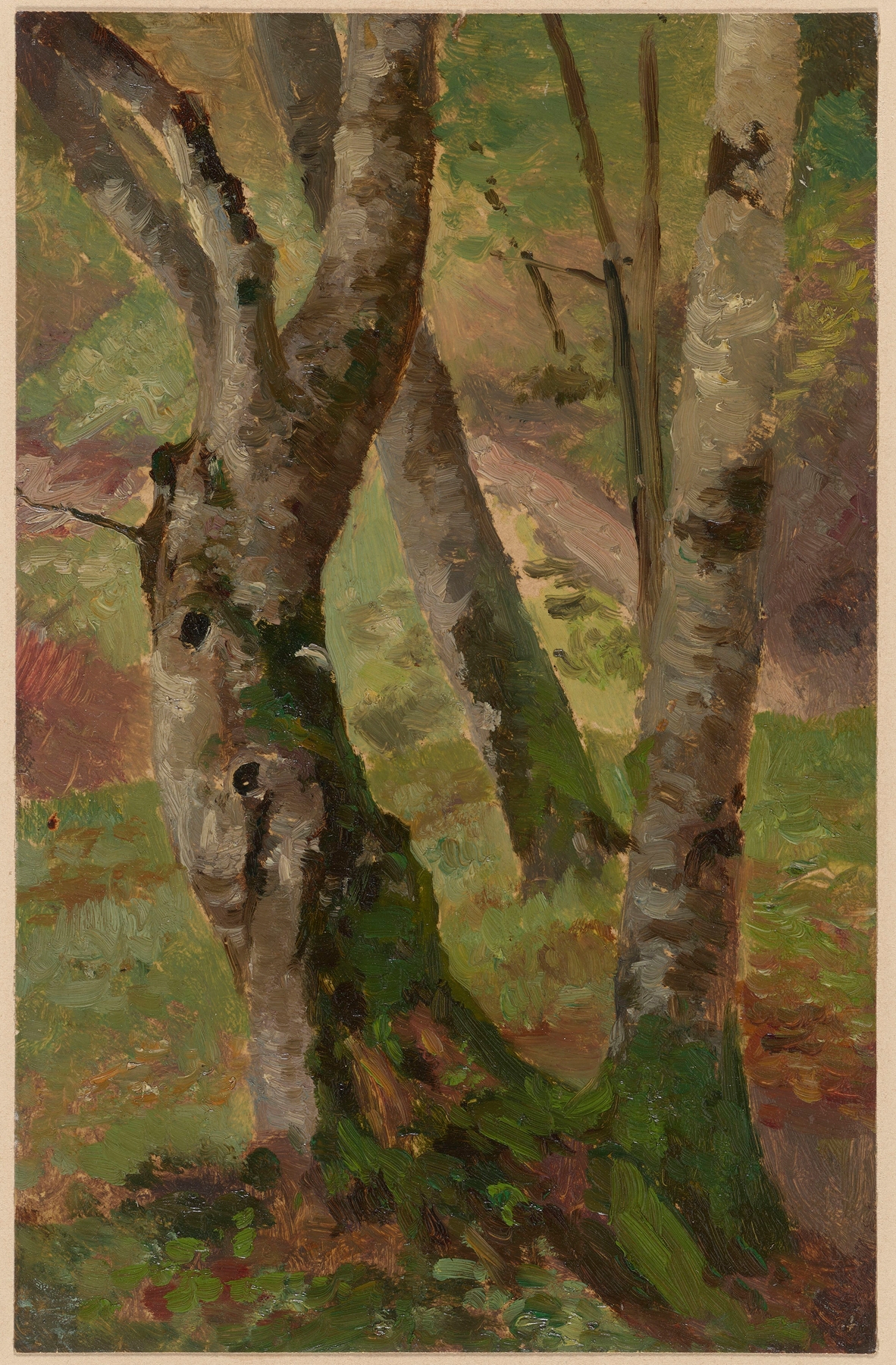 Birch Tree Trunks by Theodor Blache, oil on canvas depicting serene birch trees.
