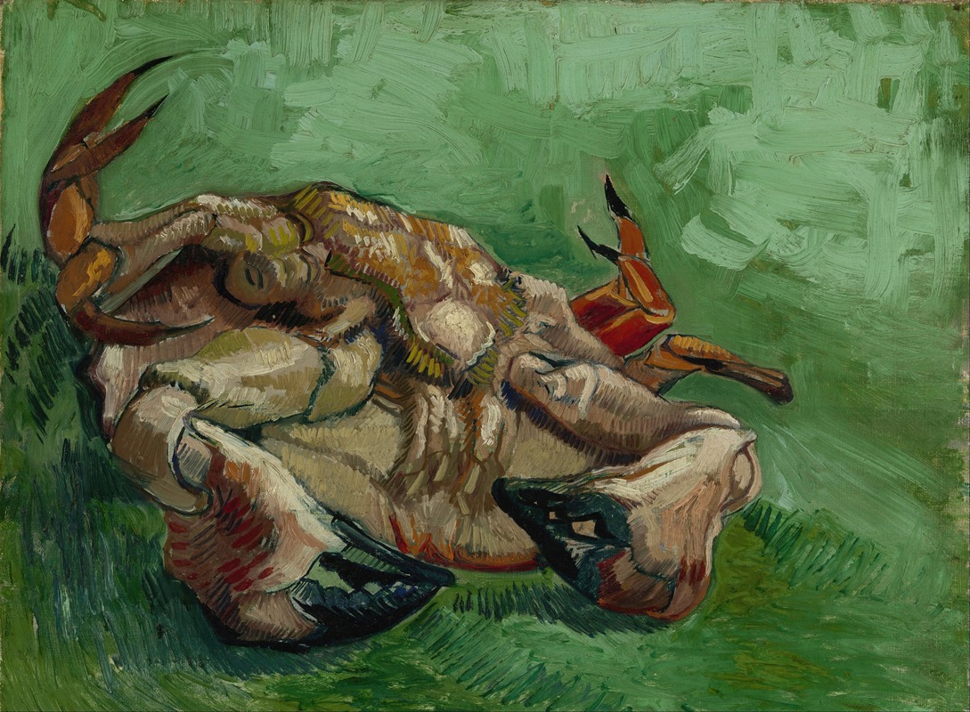 A crab is depicted on its back, showcasing its detailed shell and legs.