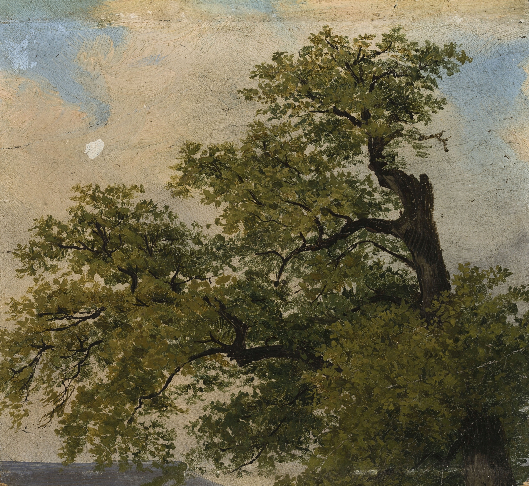 Landscape with trees in oil on canvas by Julius Schoppe