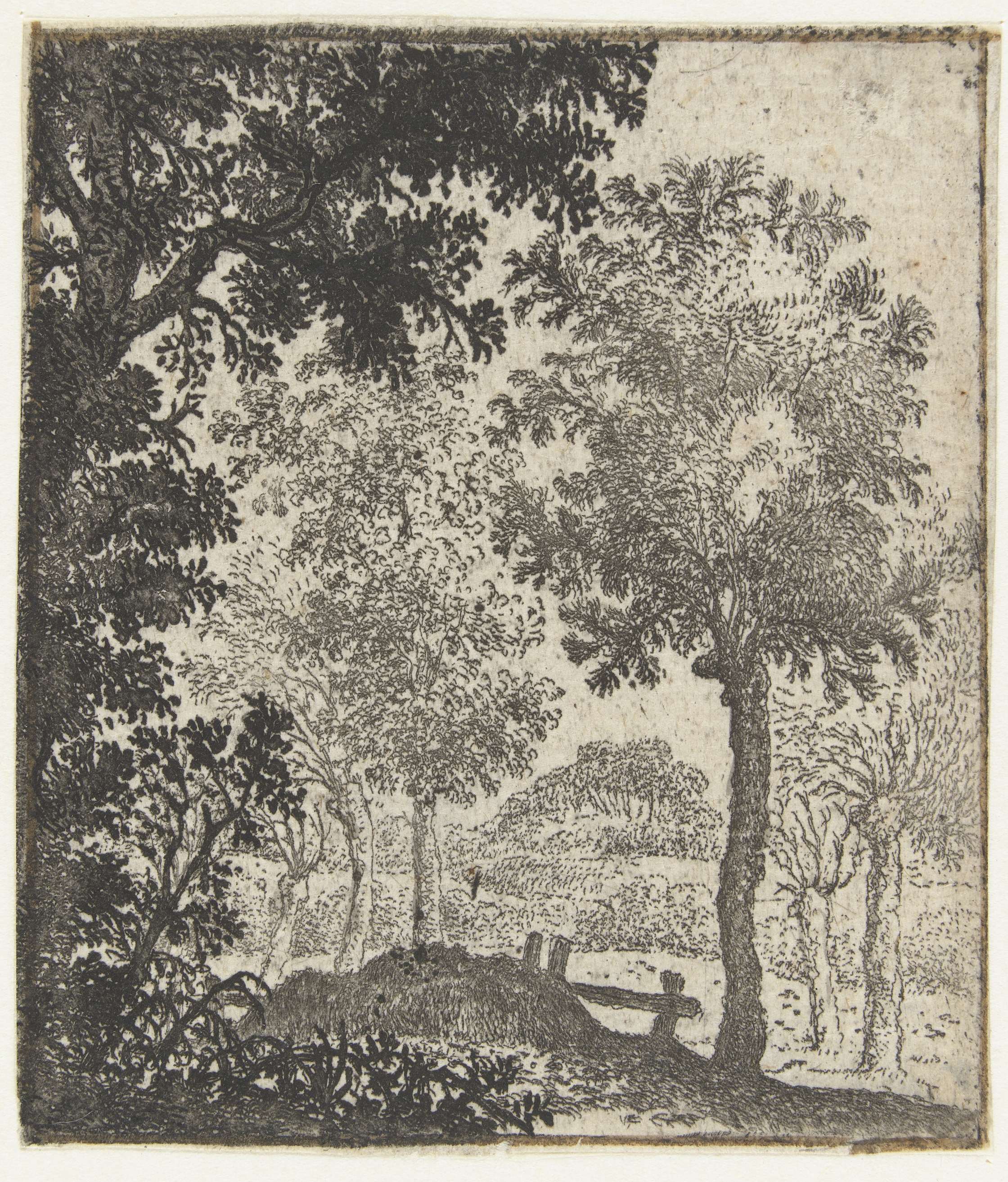Landscape etching by Jan van Brosterhuyzen featuring a large tree and rolling hills.